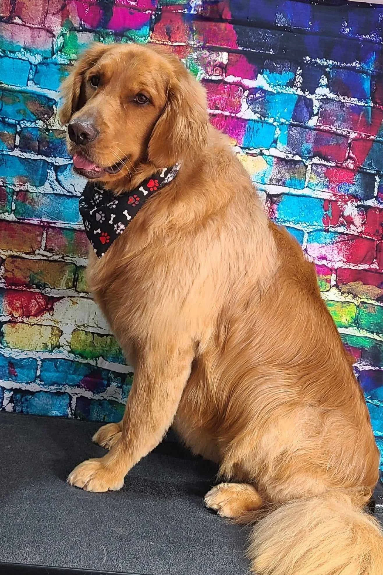 Cowboy brick web1.jpg