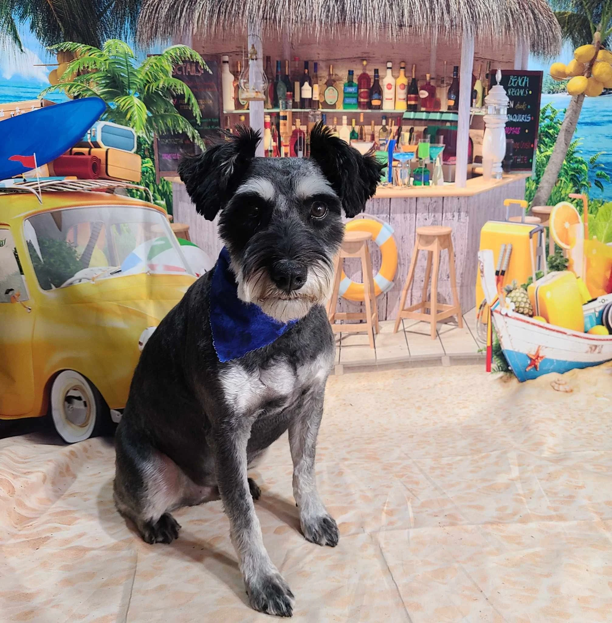 Stan-Lee beach web1.jpg