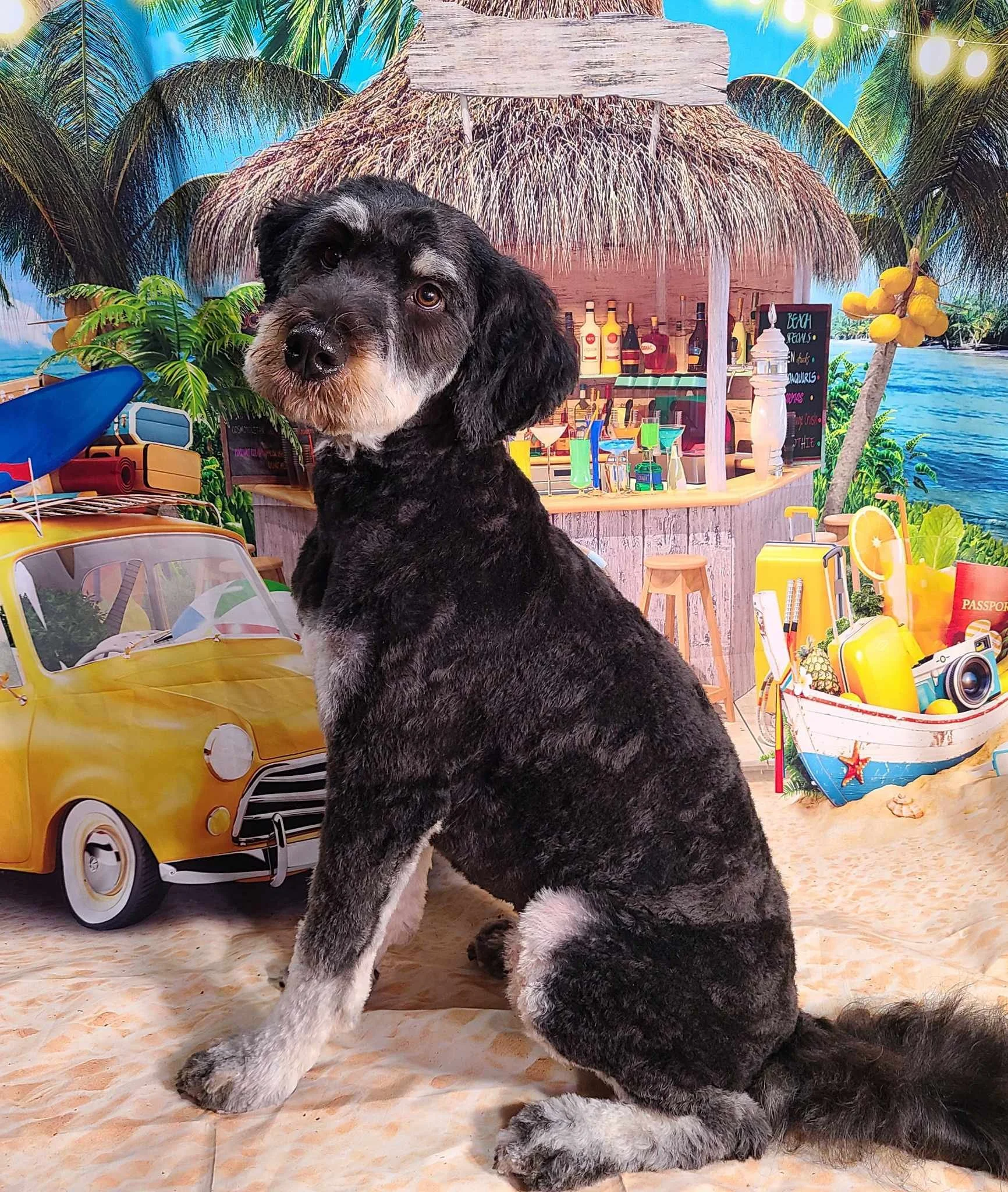 Frankie beach web1.jpg