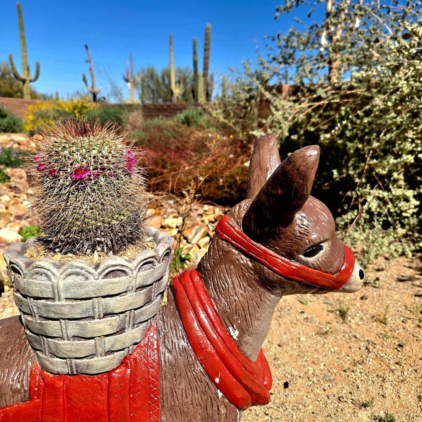 I know, donkey, I know...