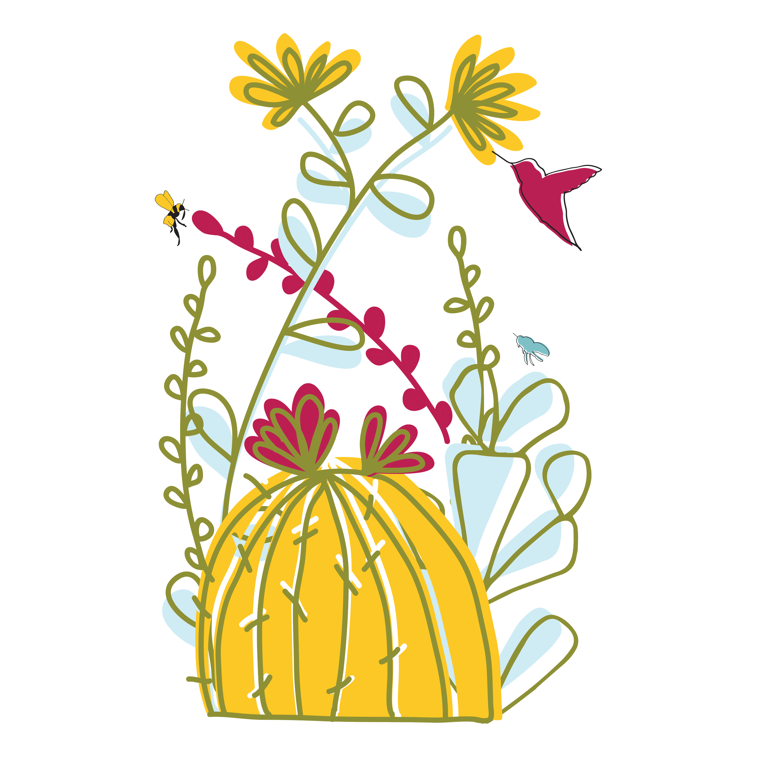 barrel+cactus+illustration-01.png?format=2500w
