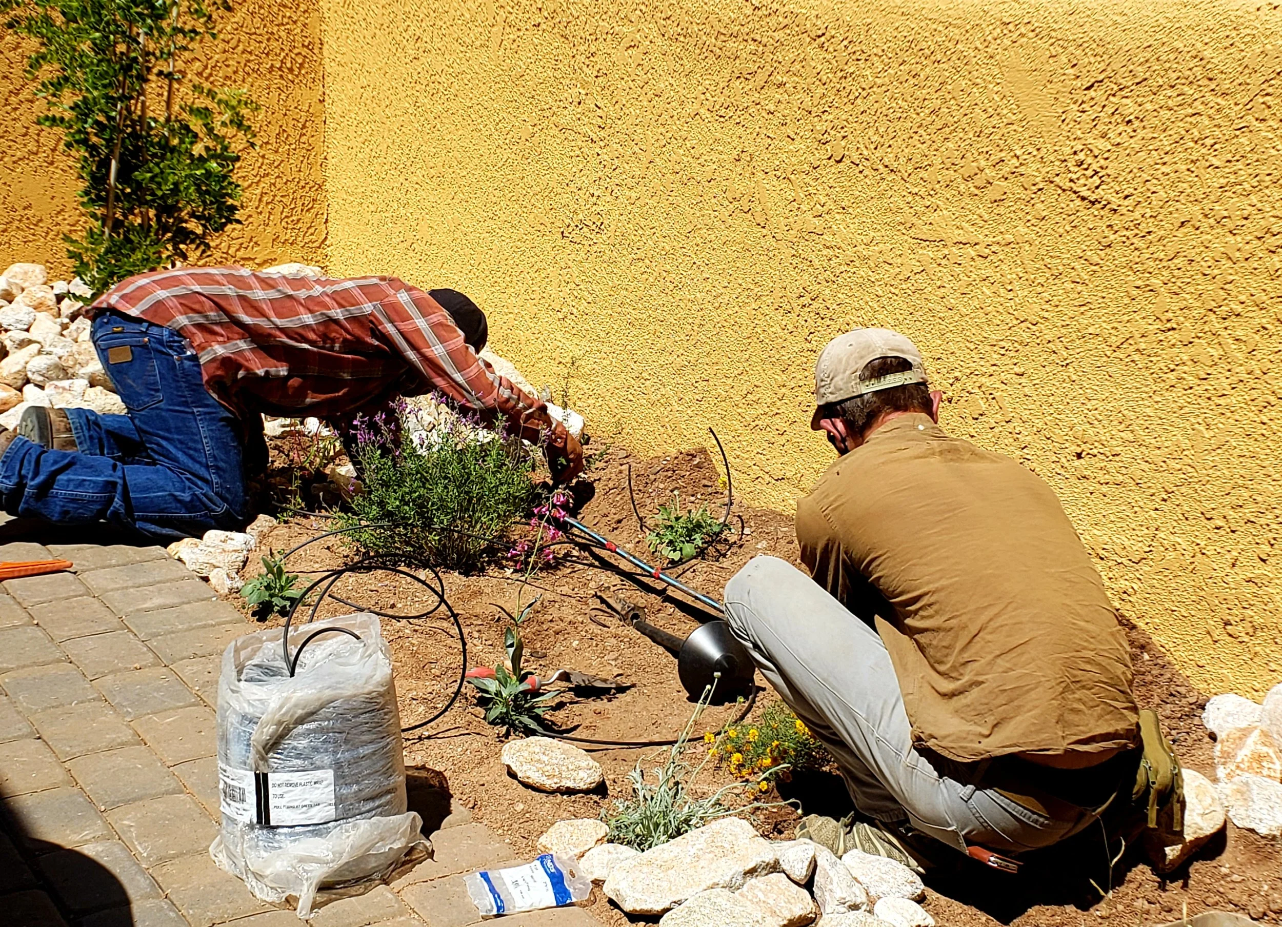 2 20210407_154935.jpg