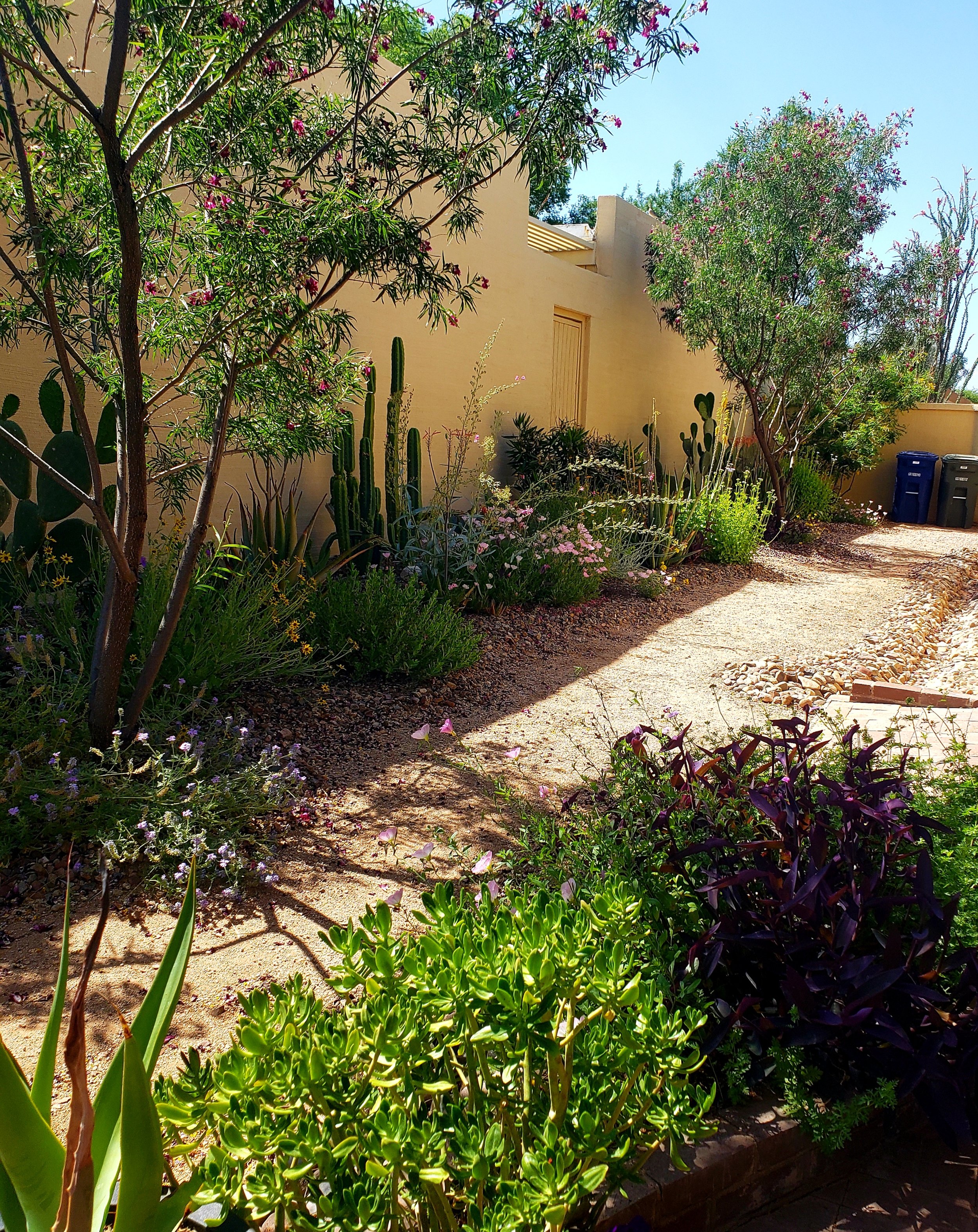 2 20230516_113801.jpg