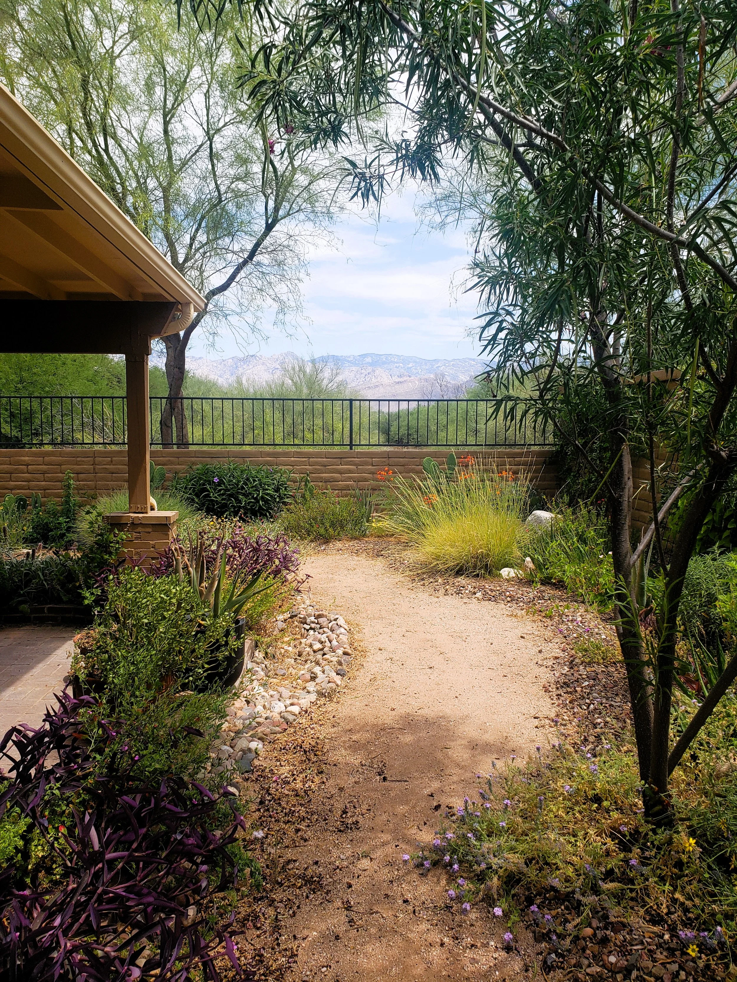 z 20230618_110800.jpg