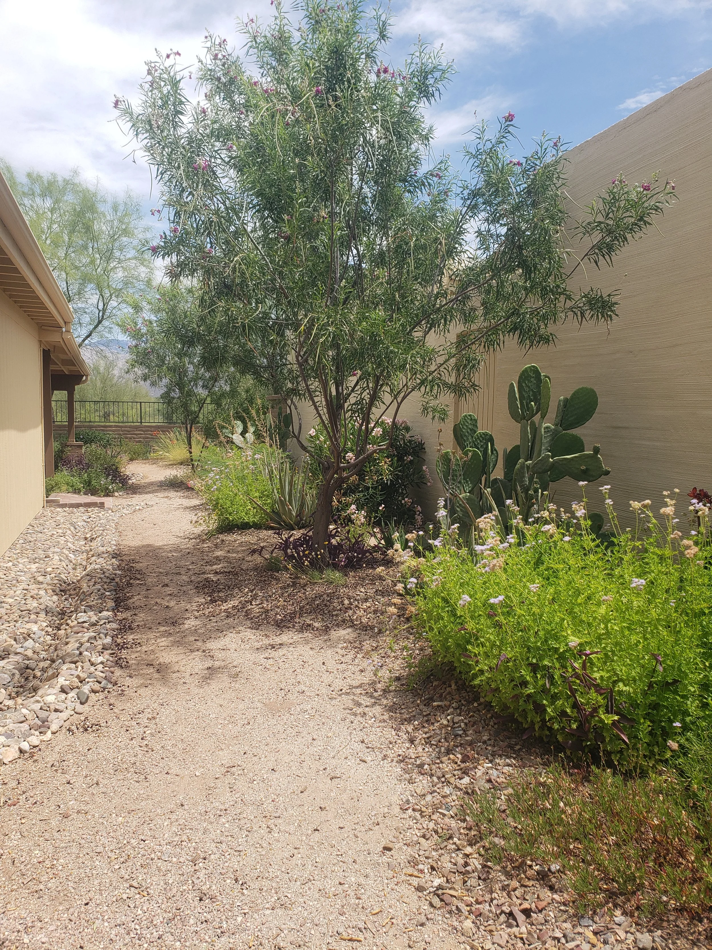 z4 20230618_110734.jpg