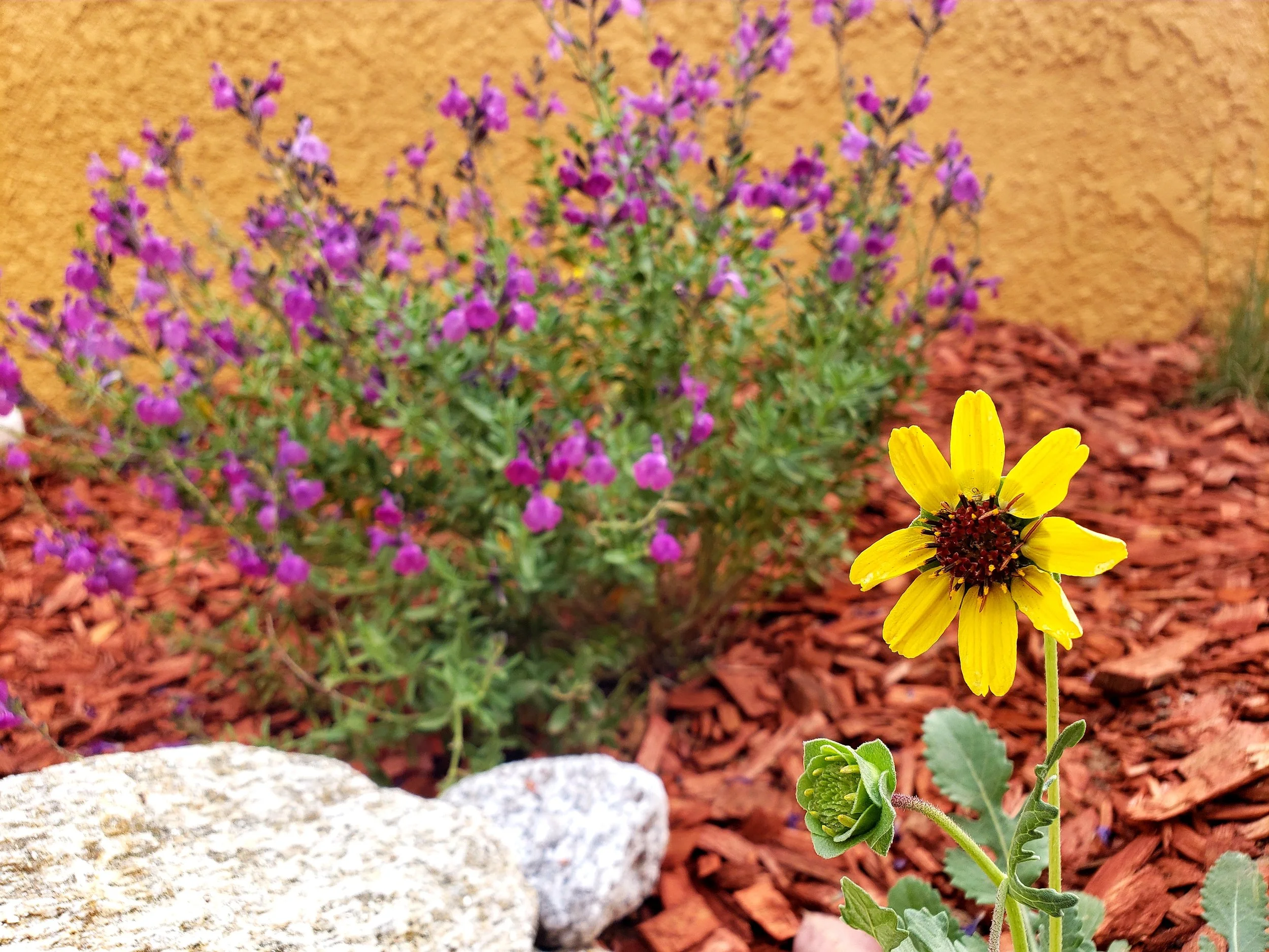 The "Tiny" Patio Project