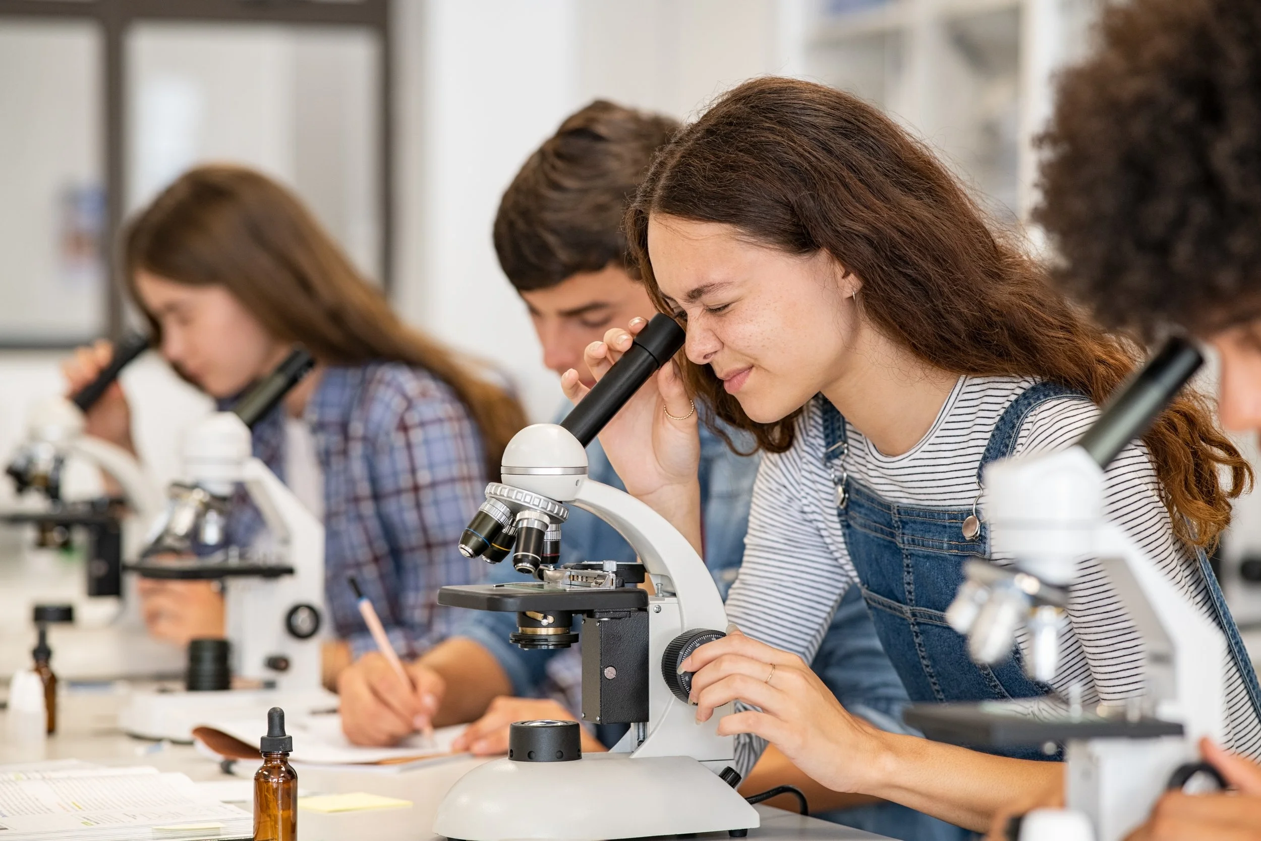New K-12 science curriculum scrutinized; December vote by Board of Ed expected