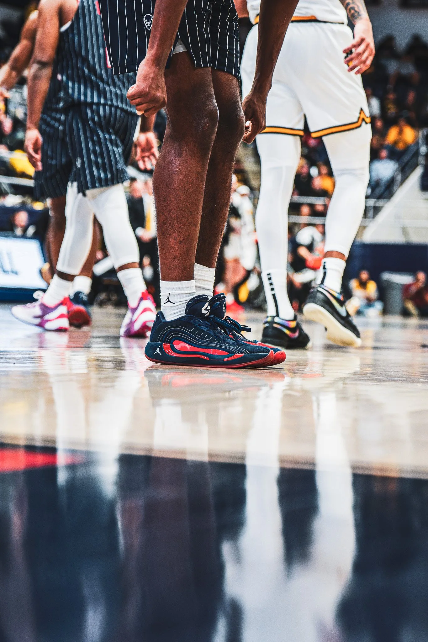 DSC09978-3-DxO_DeepPRIME XD2s.jpg