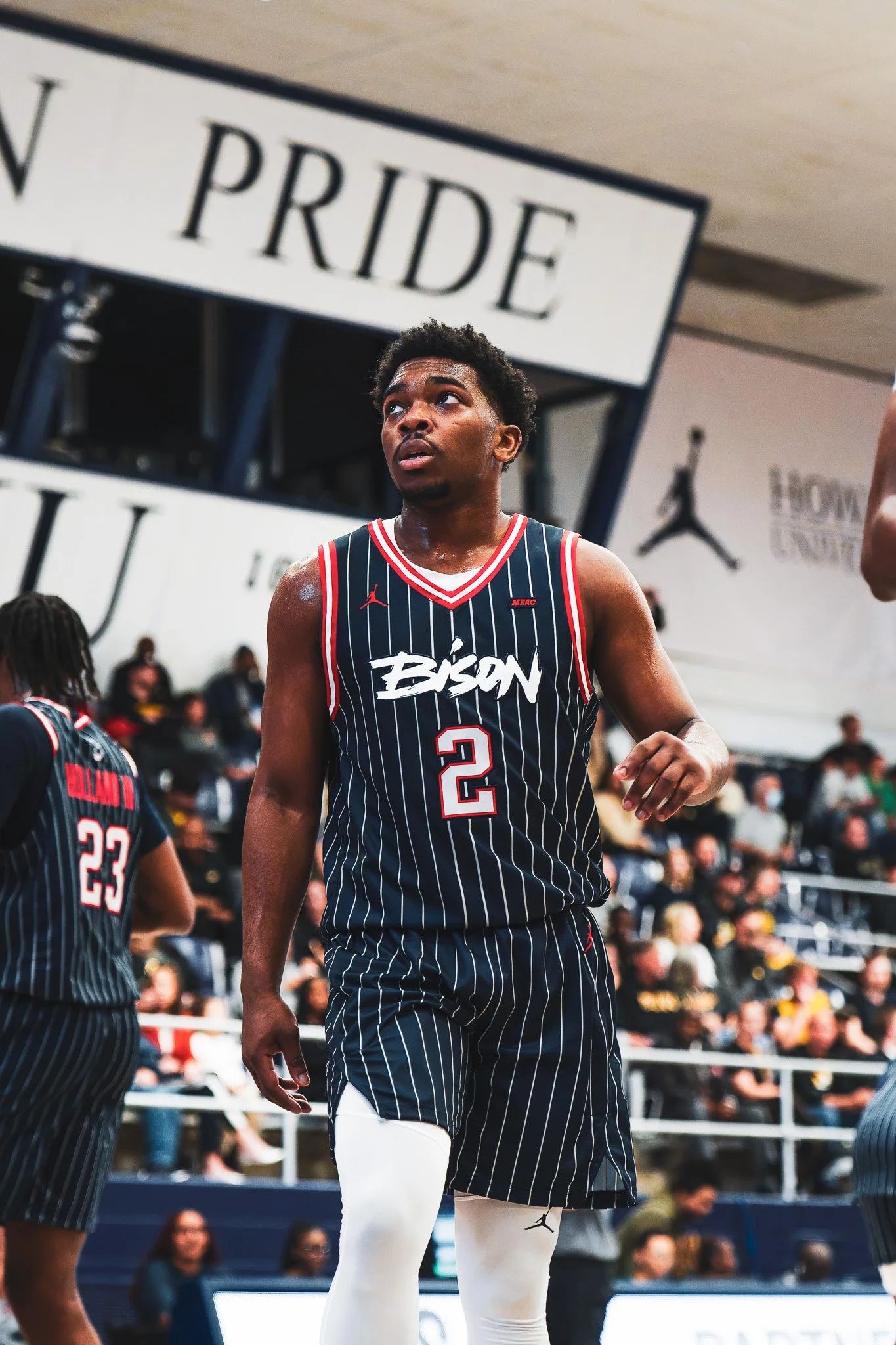 DSC09875-DxO_DeepPRIME XD2s.jpg