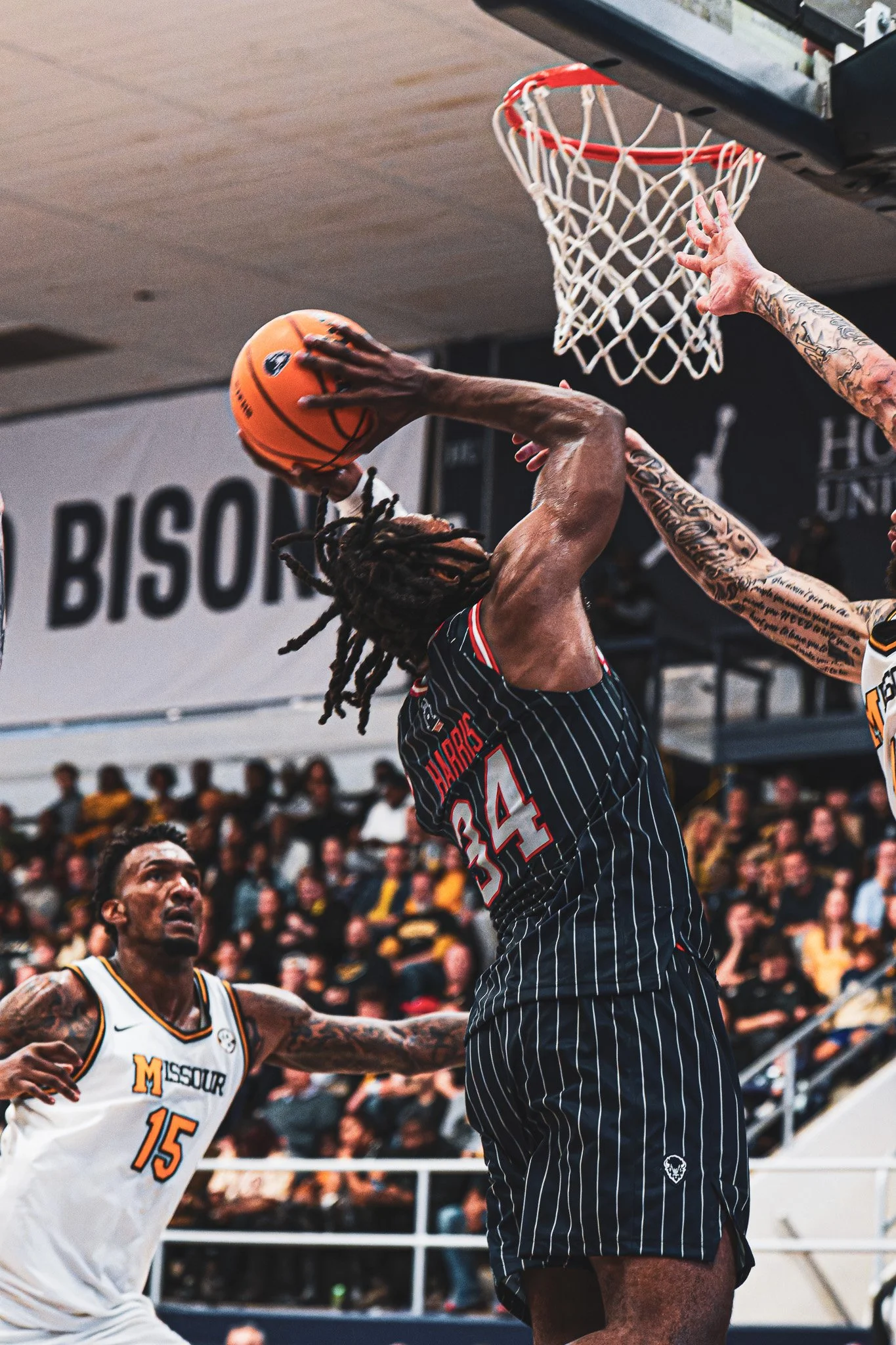 DSC00100-4-DxO_DeepPRIME XD2s.jpg