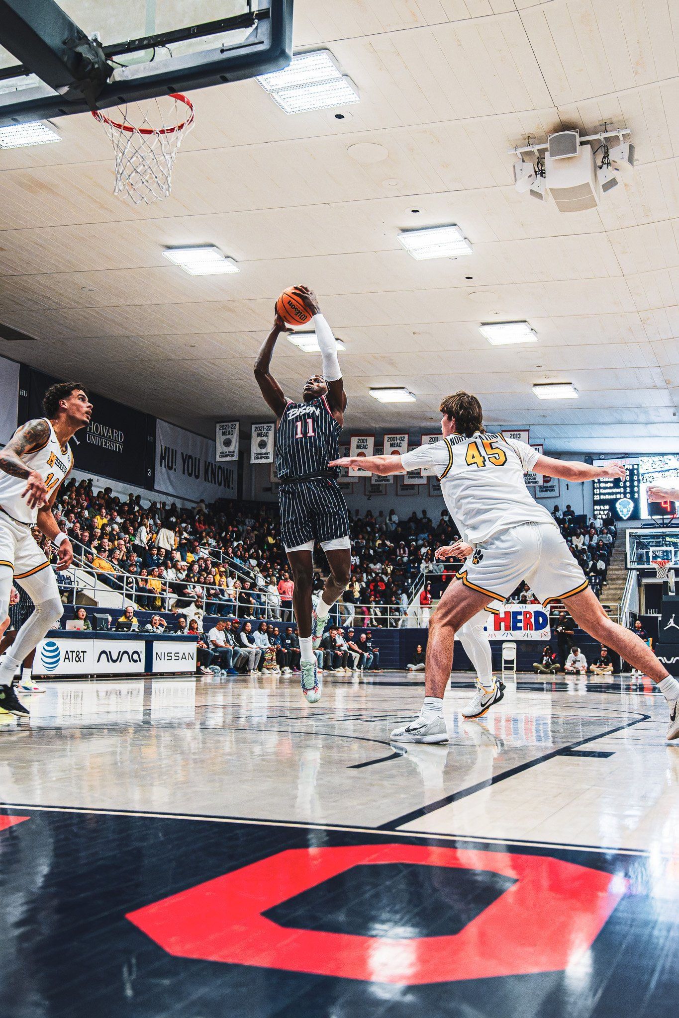 DSC09731-3-DxO_DeepPRIME XD2s.jpg