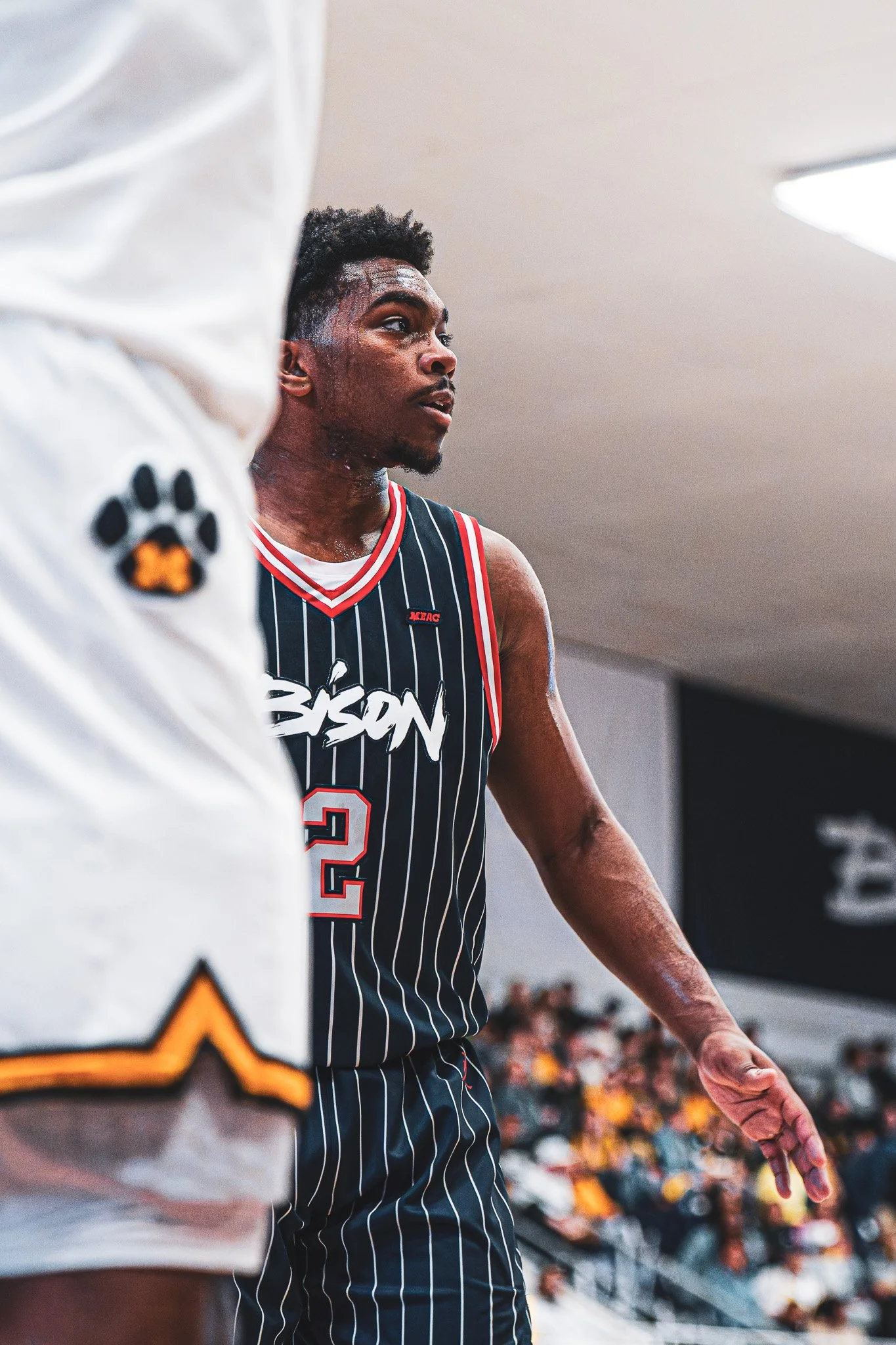 DSC09878-3-DxO_DeepPRIME XD2s.jpg