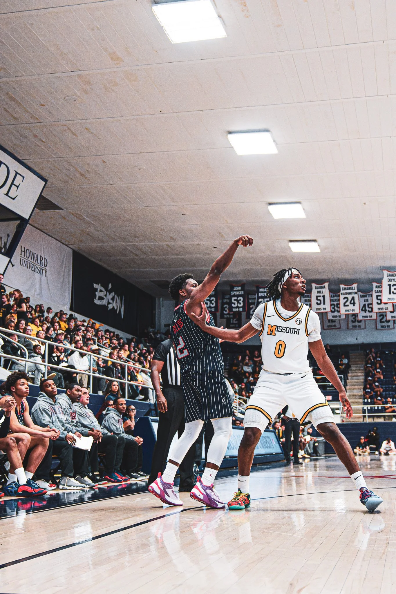 DSC00222-3-DxO_DeepPRIME XD2s.jpg