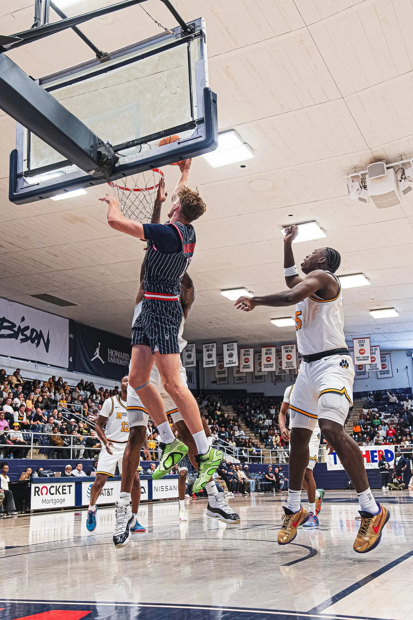 DSC09594-DxO_DeepPRIME XD2s.jpg