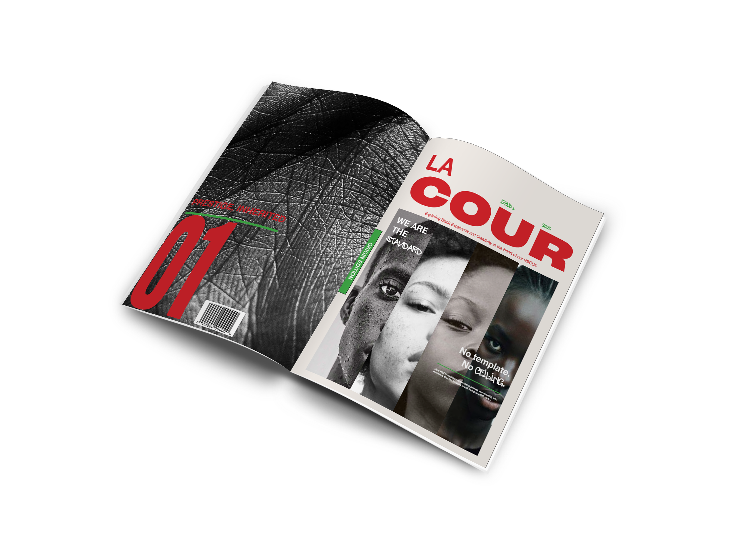 2. Perspective Spread.png