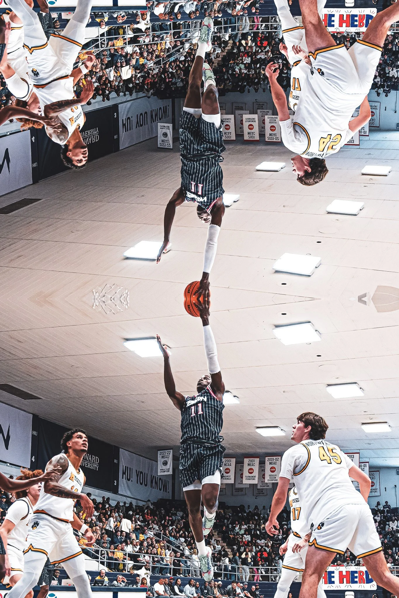 DSC09732-DxO_DeepPRIME XD2s-Edit.jpg