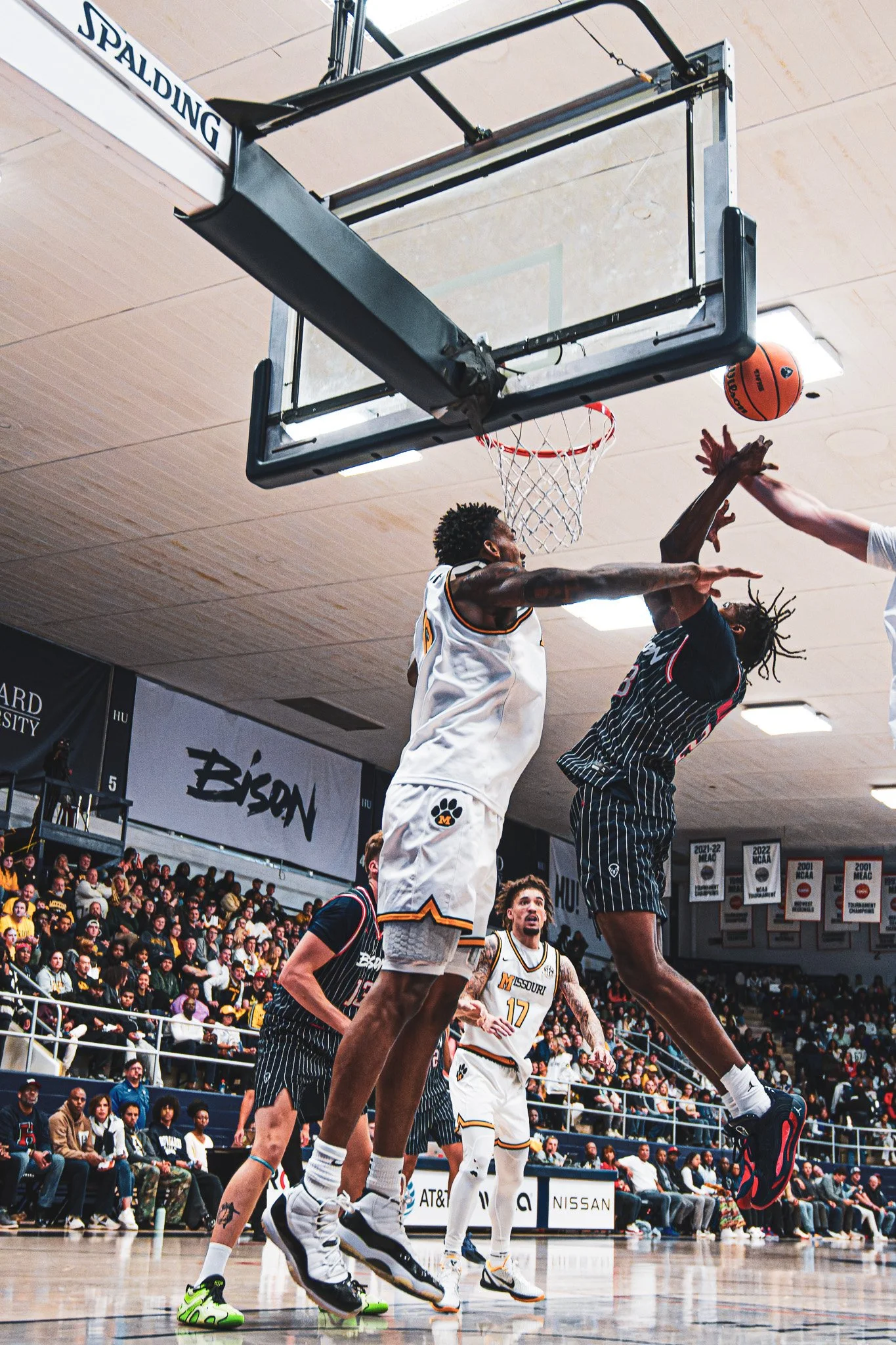 DSC09797-3-DxO_DeepPRIME XD2s.jpg