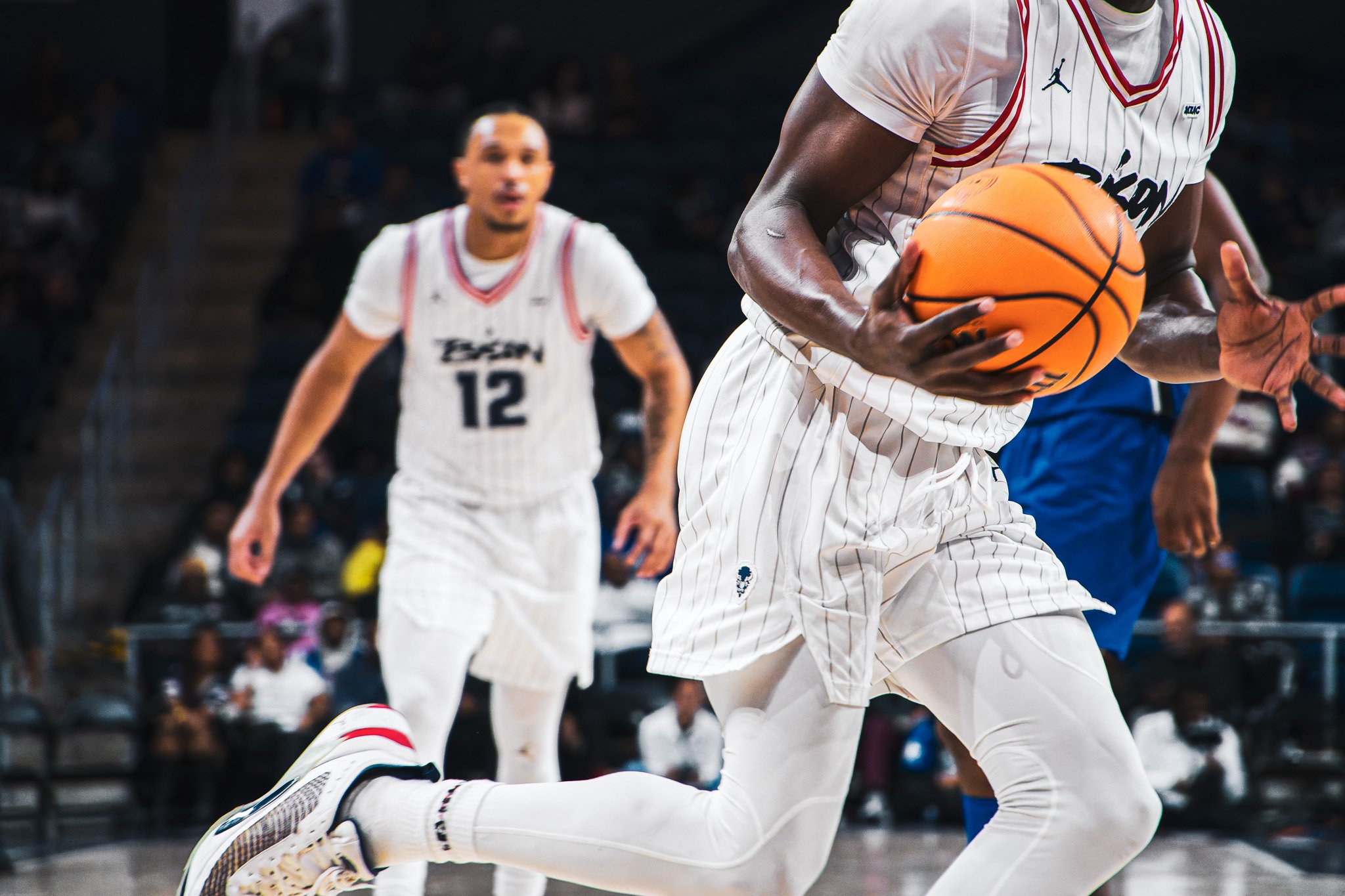 DSC00652-DxO_DeepPRIME XD2s-2.jpg