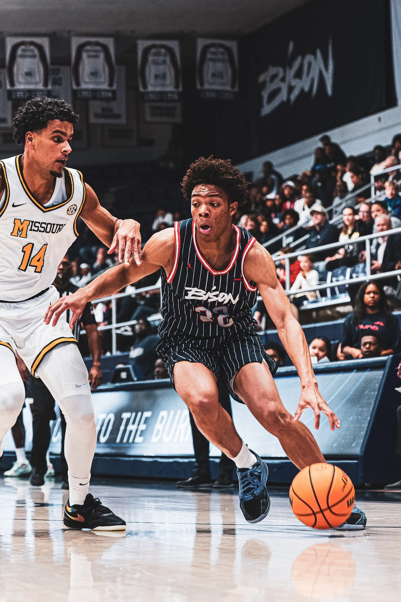 DSC09624-DxO_DeepPRIME XD2s.jpg