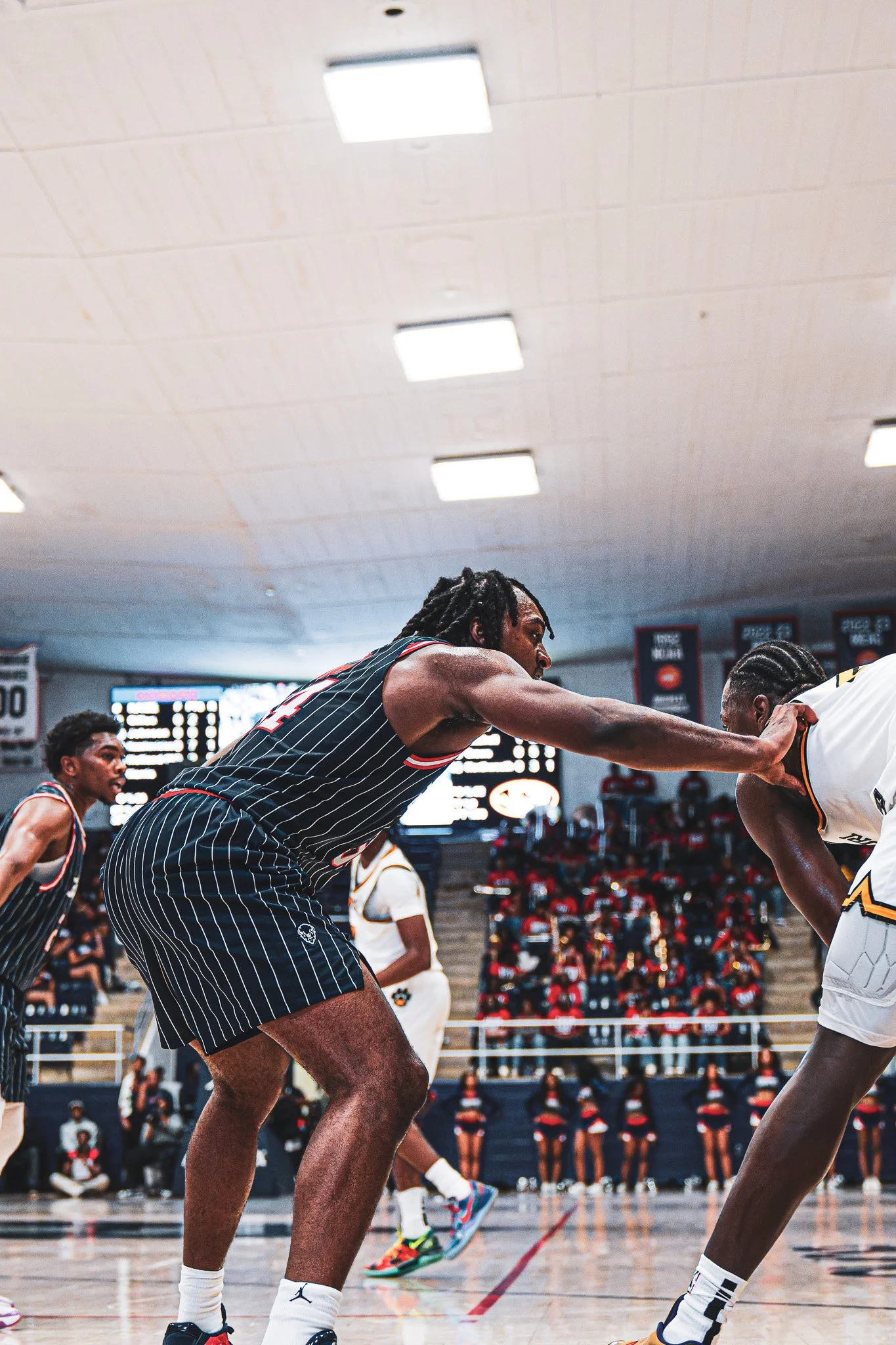 DSC09886-3-DxO_DeepPRIME XD2s.jpg