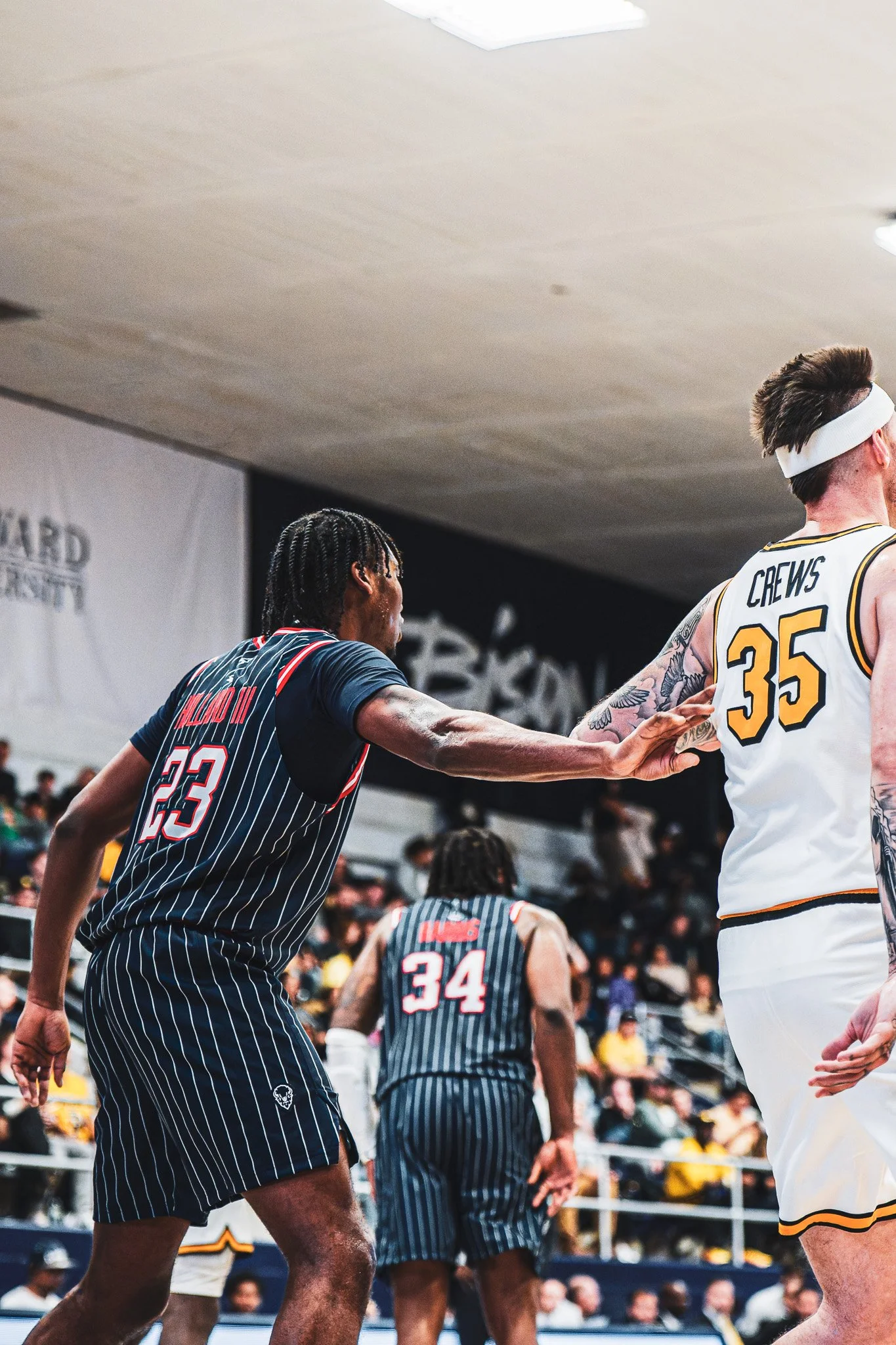 DSC09914-3-DxO_DeepPRIME XD2s.jpg