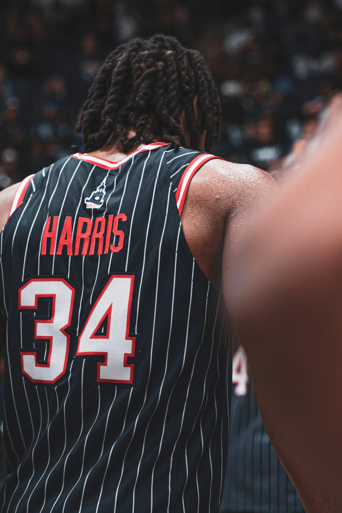 DSC00065-3-DxO_DeepPRIME XD2s-2.jpg