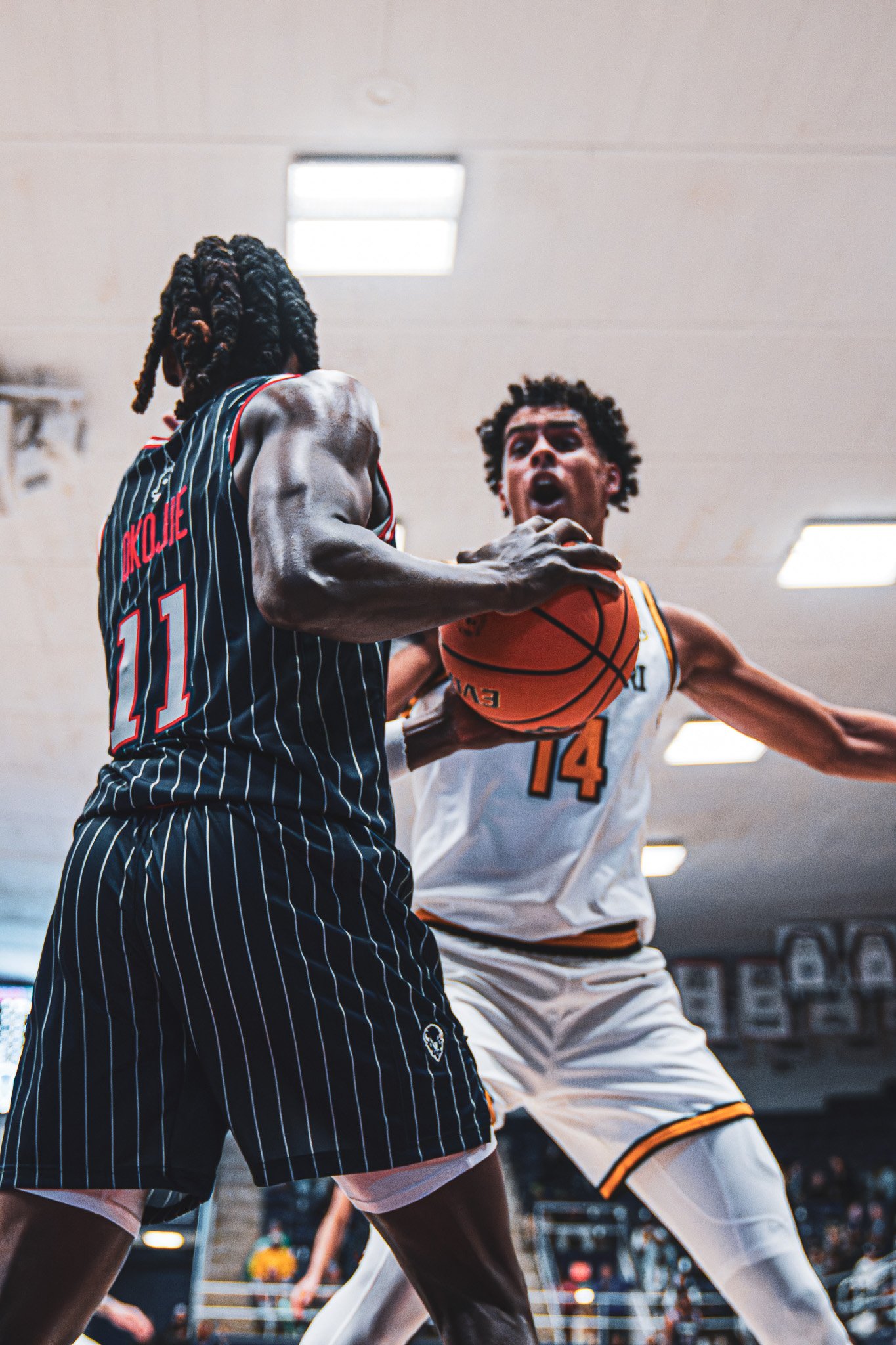 DSC09724-3-DxO_DeepPRIME XD2s.jpg