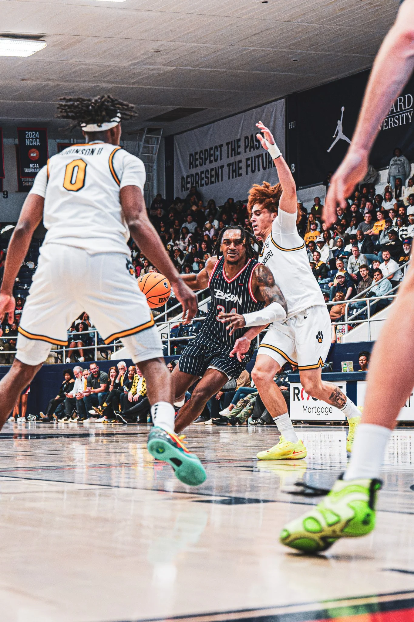 DSC00224-3-DxO_DeepPRIME XD2s.jpg