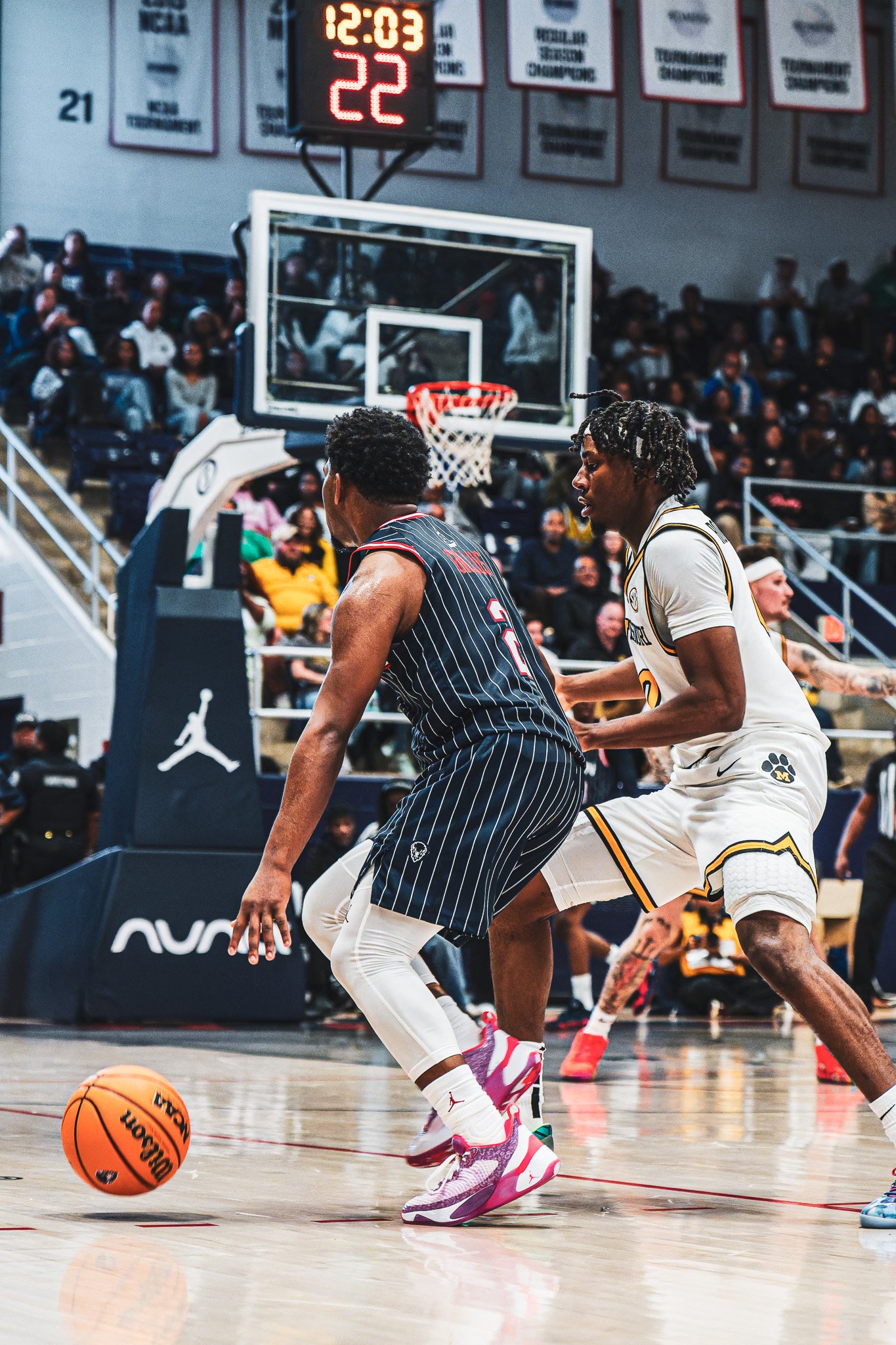 DSC00092-3-DxO_DeepPRIME XD2s.jpg