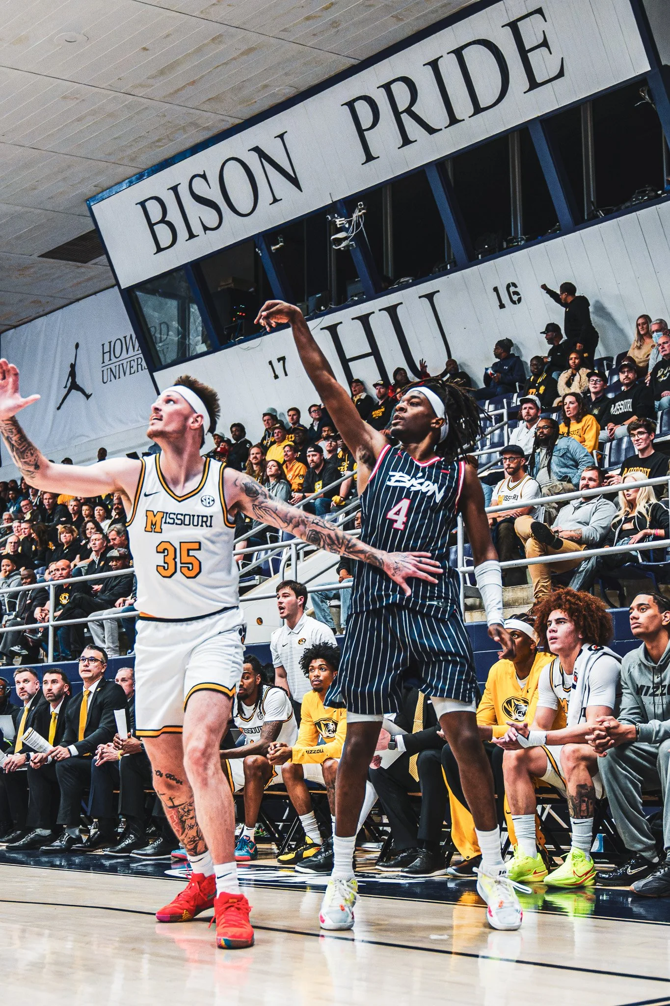 DSC09862-DxO_DeepPRIME XD2s.jpg