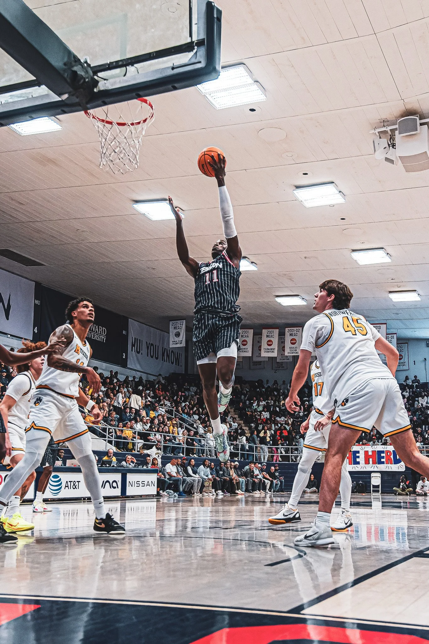 DSC09732-DxO_DeepPRIME XD2s.jpg