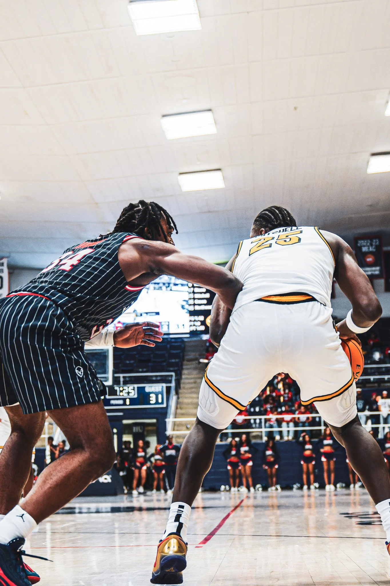 DSC09891-3-DxO_DeepPRIME XD2s.jpg