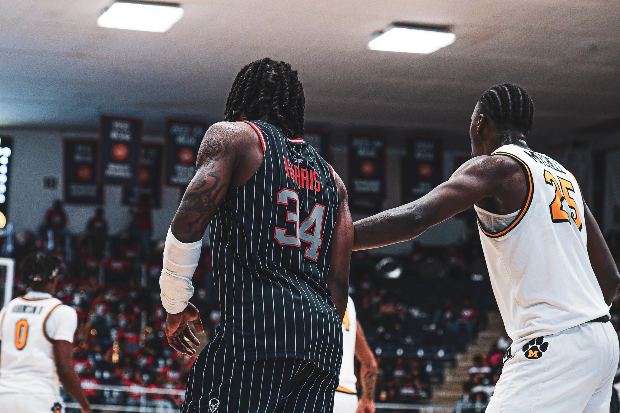 DSC00119-3-DxO_DeepPRIME XD2s.jpg