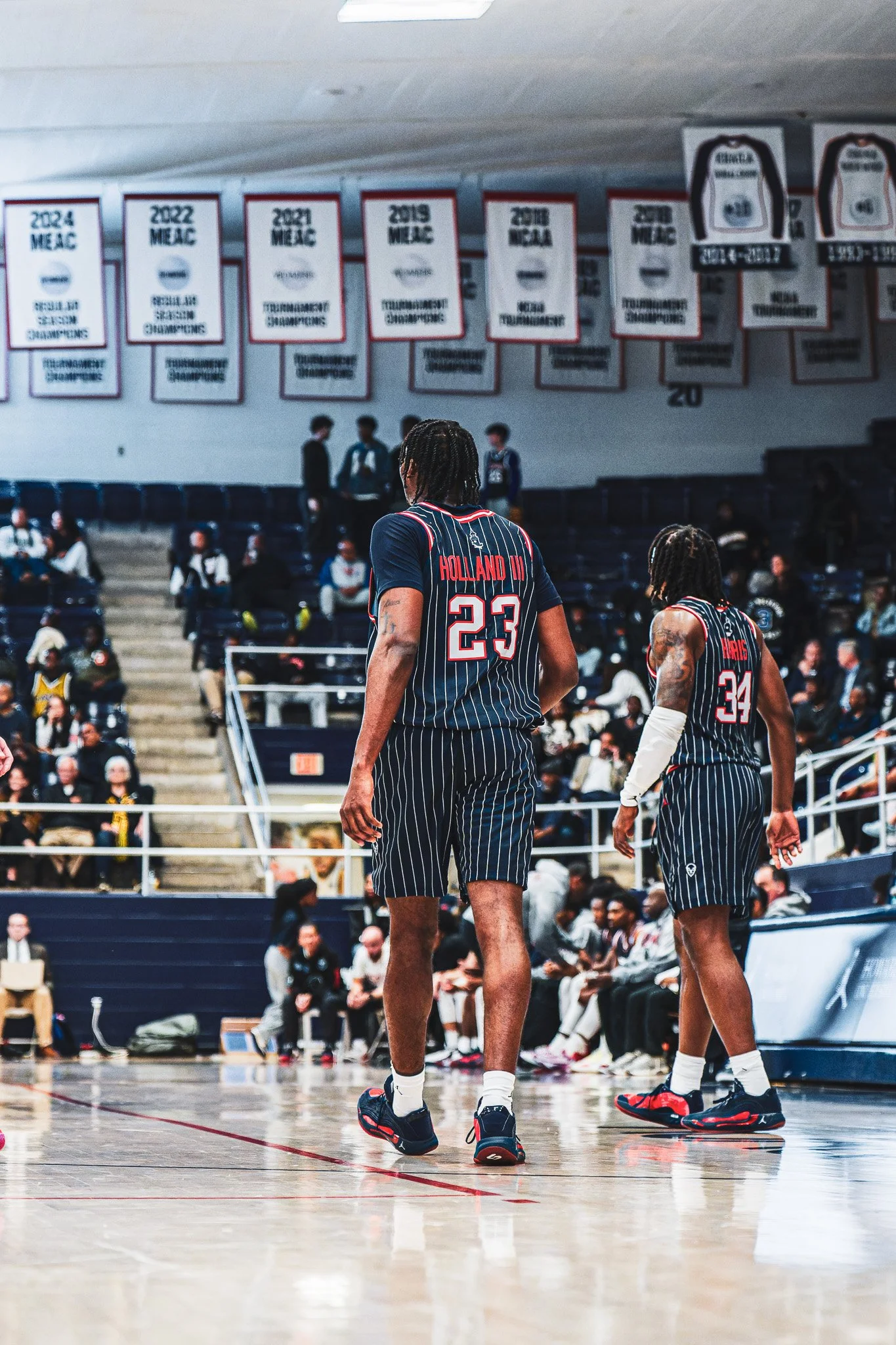 DSC09769-3-DxO_DeepPRIME XD2s.jpg