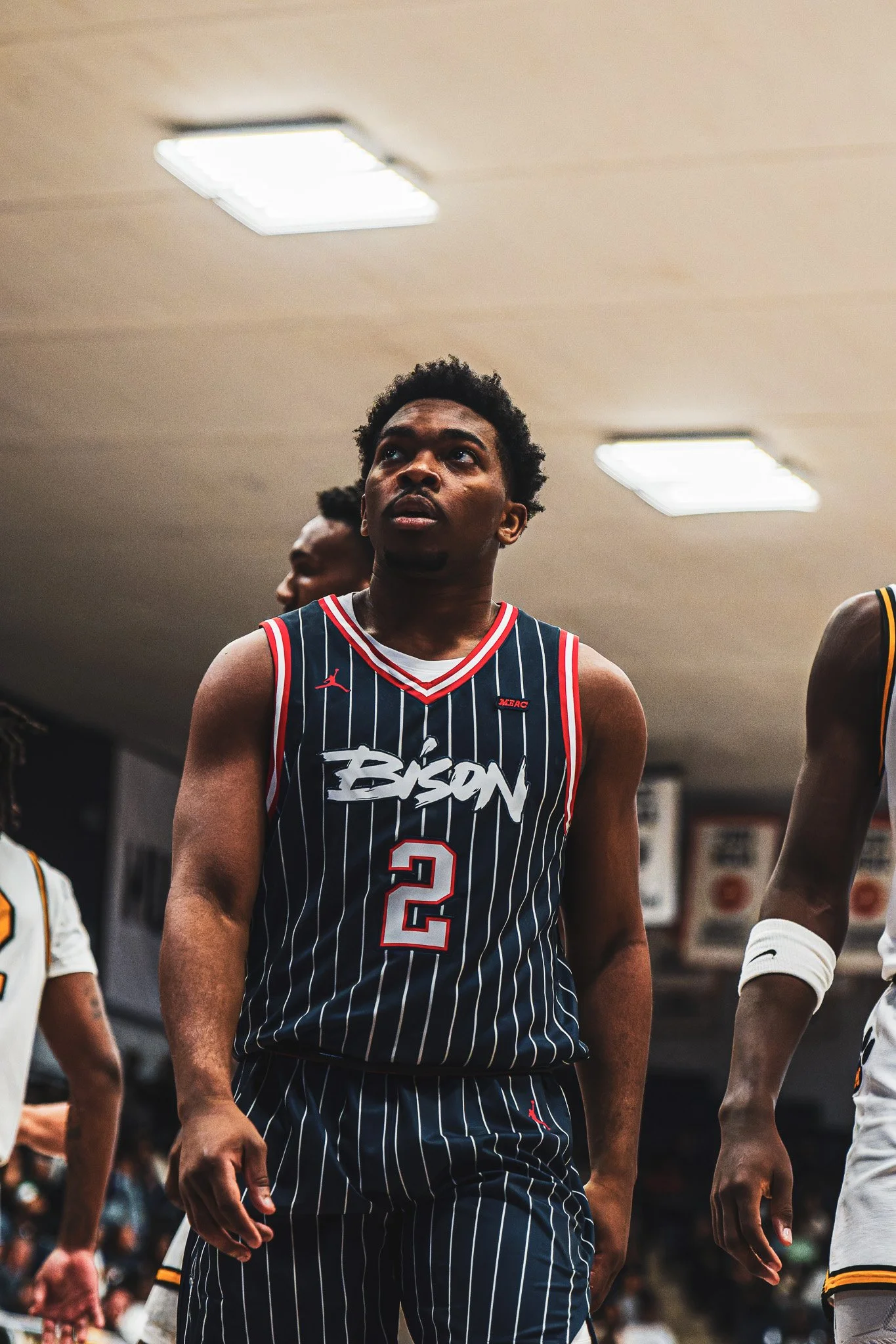 DSC09610-3-DxO_DeepPRIME XD2s.jpg