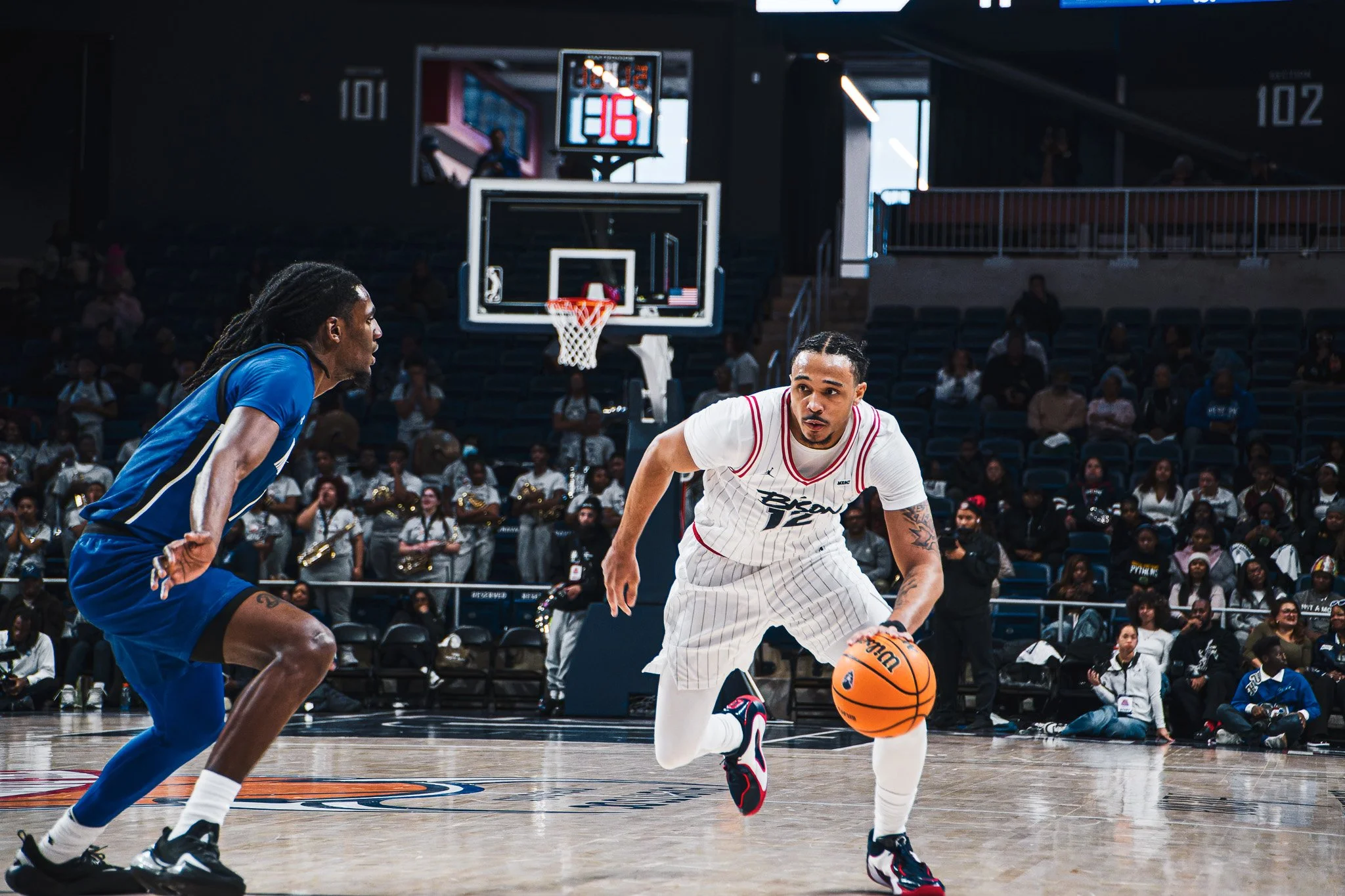 DSC08775-DxO_DeepPRIME XD2s-2.jpg