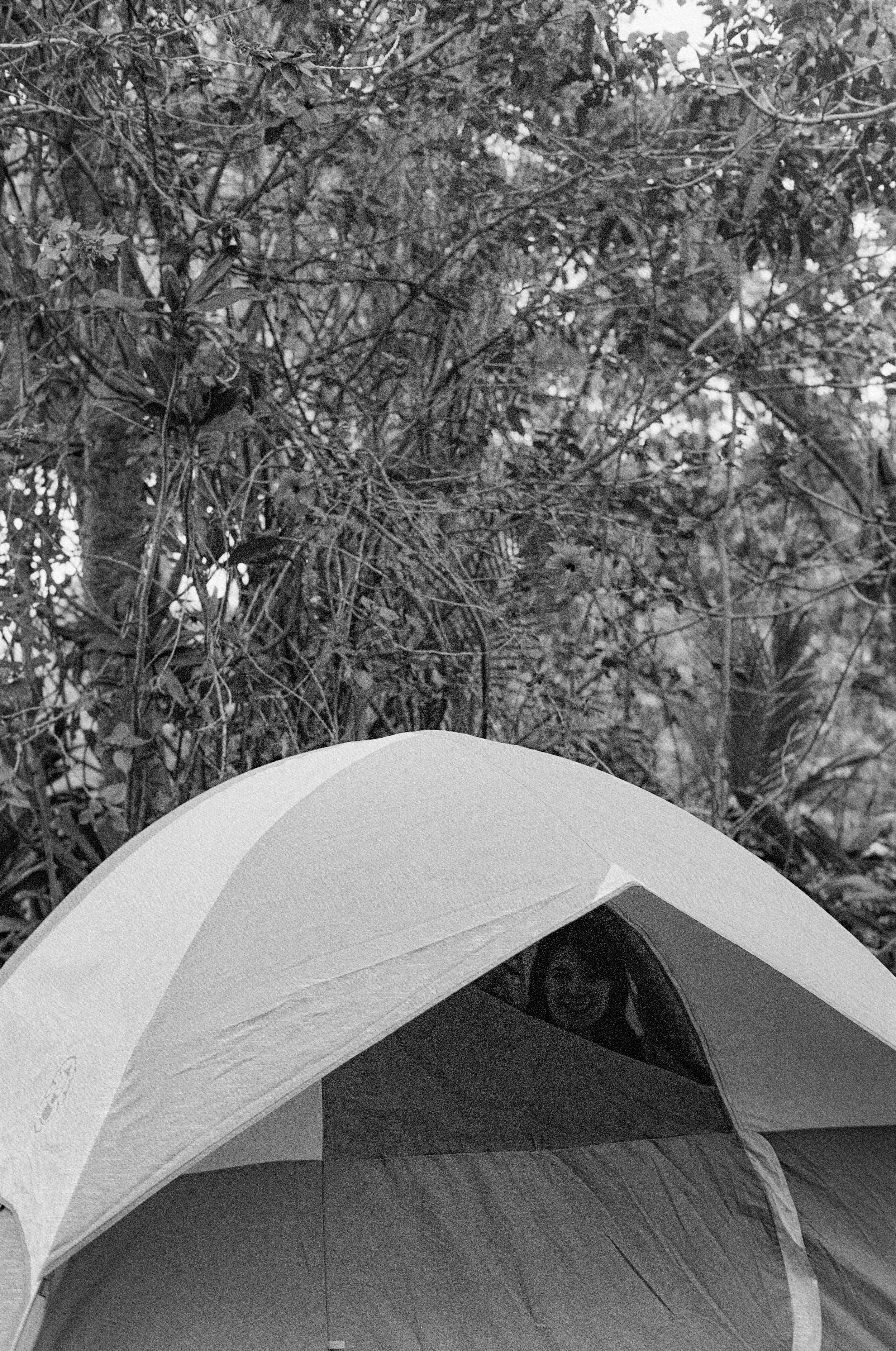 Rose in our tent.jpg