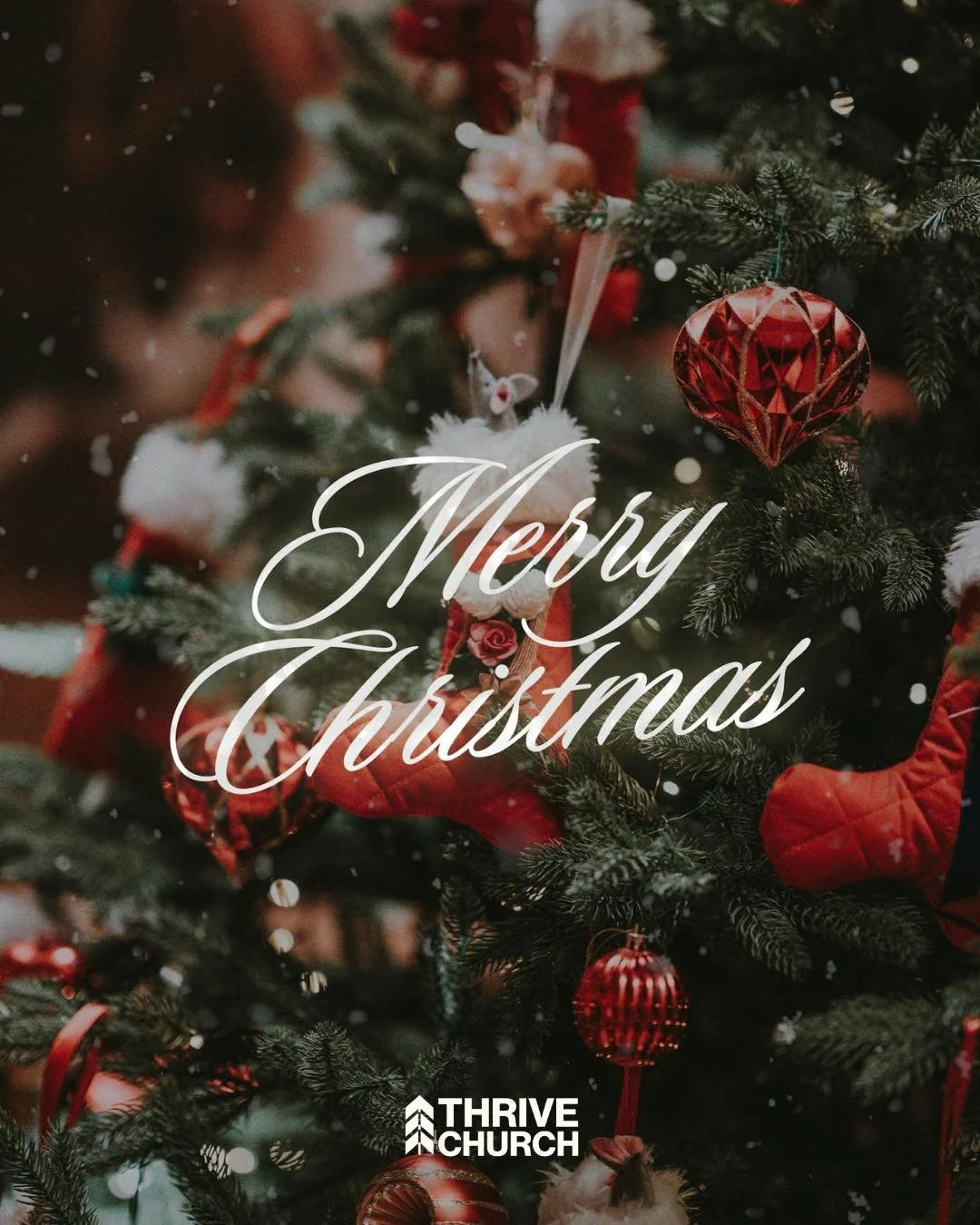 Merry Christmas, Thrive Family! ✨
And the angel said to them, &ldquo;Fear not, for behold, I bring you good news of great joy that will be for all the people. 11 For unto you is born this day in the city of David a Savior, who is Christ the Lord.&rdq