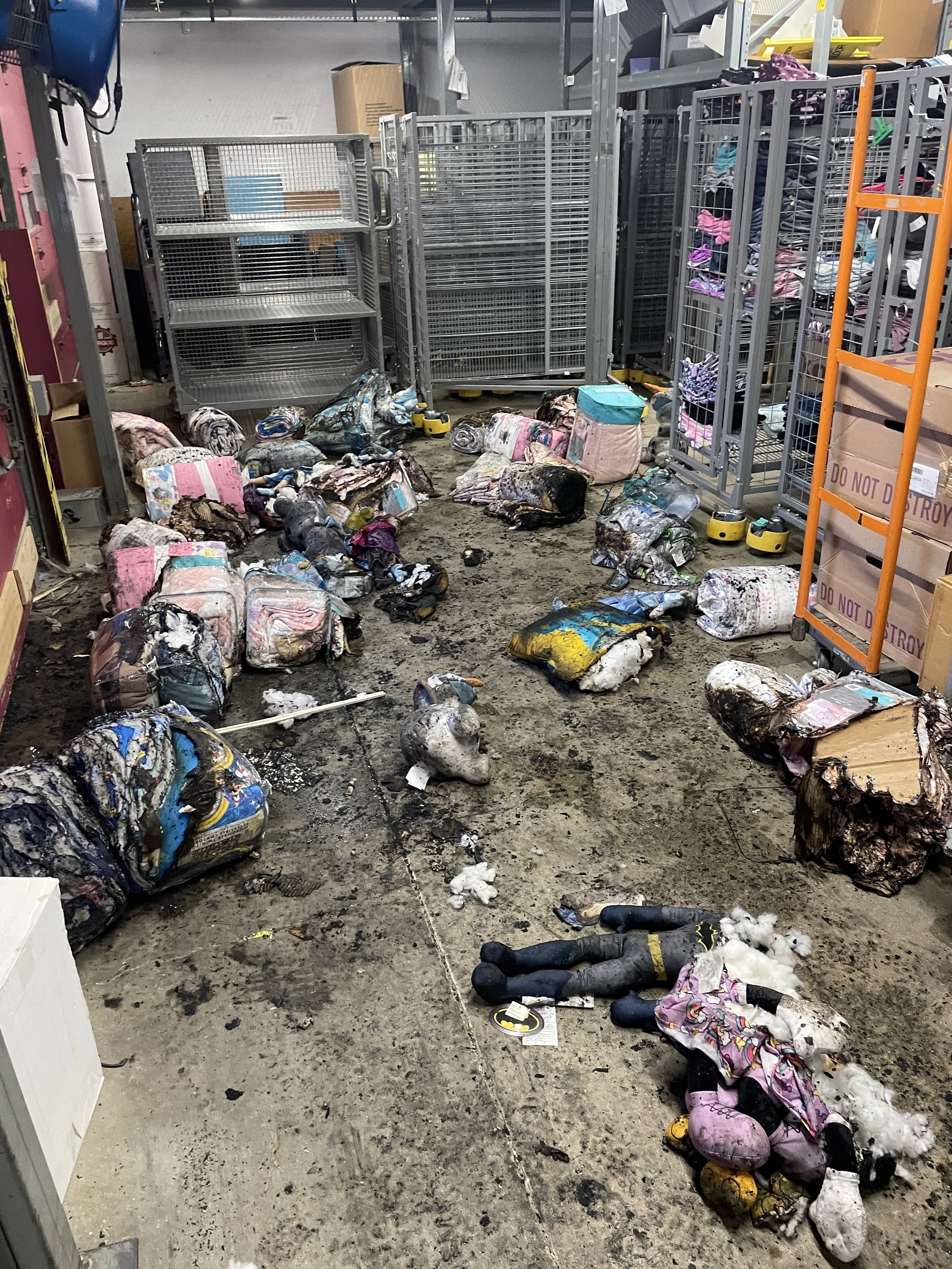 Photo Apr 02 2022, 10 03 02 AM.jpg