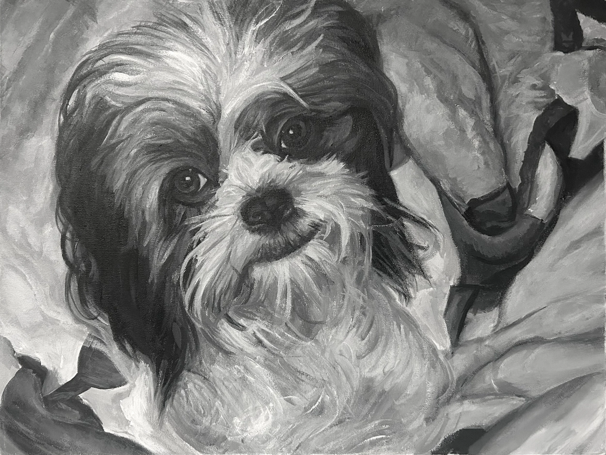 Maximus Decimus Meridius. 2024. Acrylics on Canvas - 50 x 40"