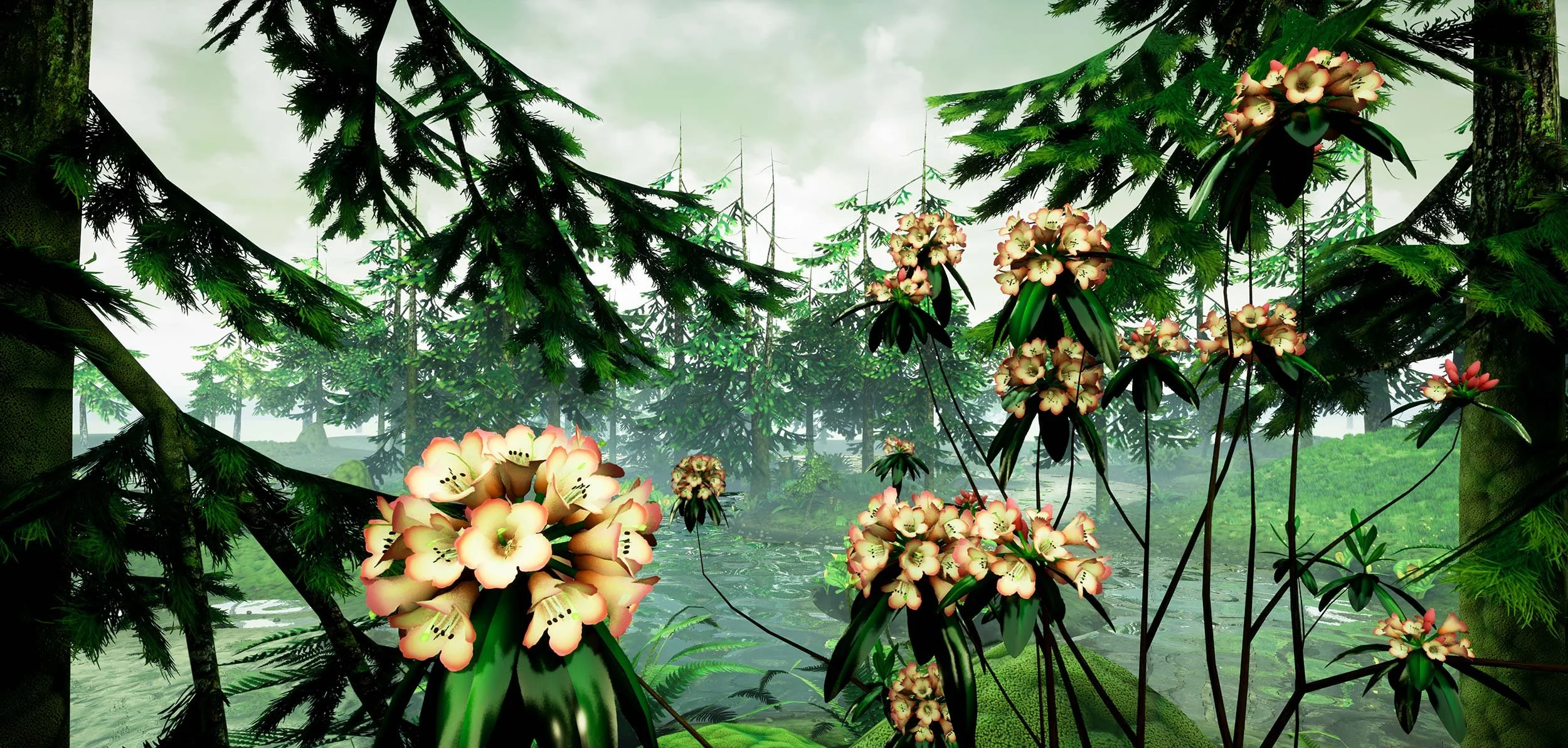 3dforest_web_04.jpg