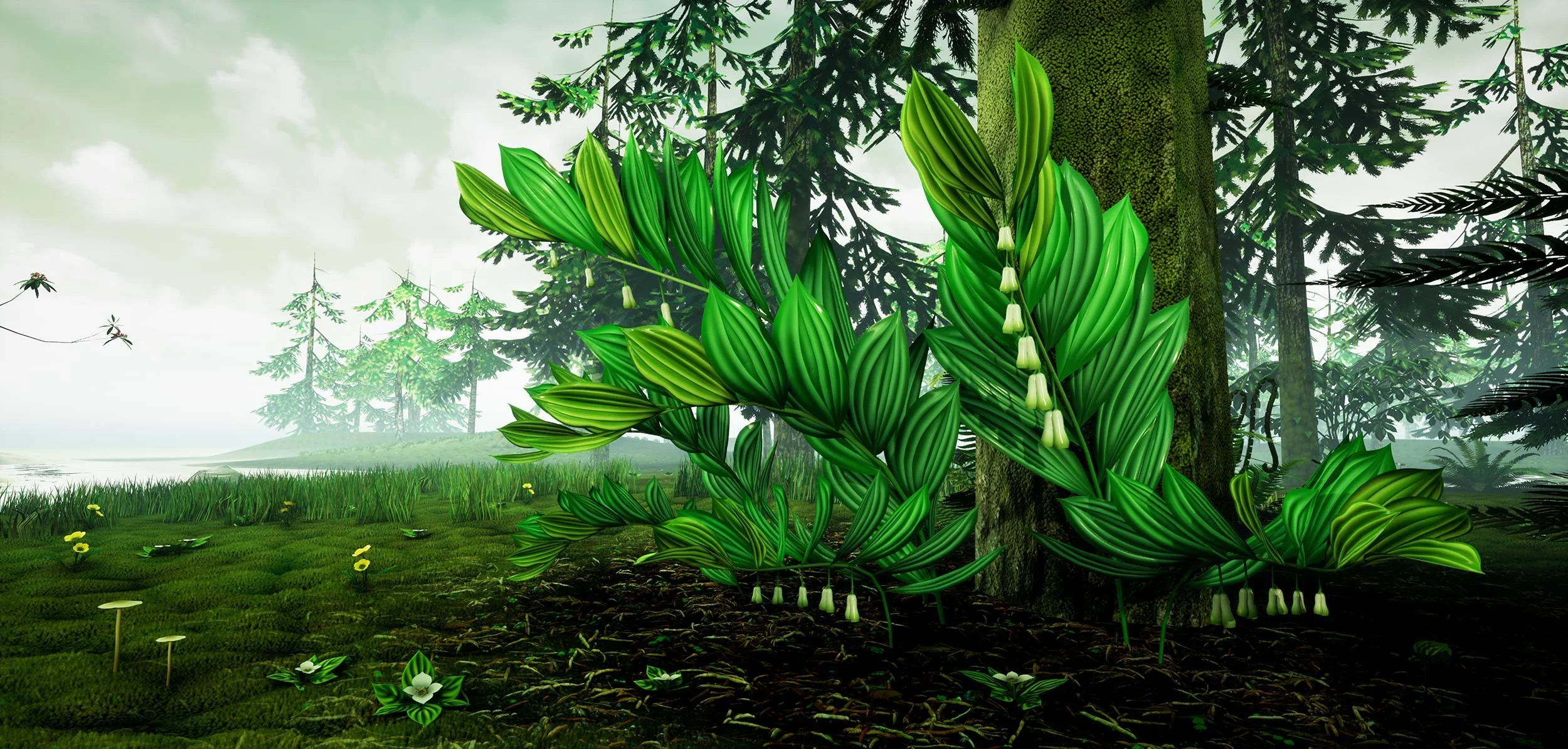 3dforest_web_05.jpg