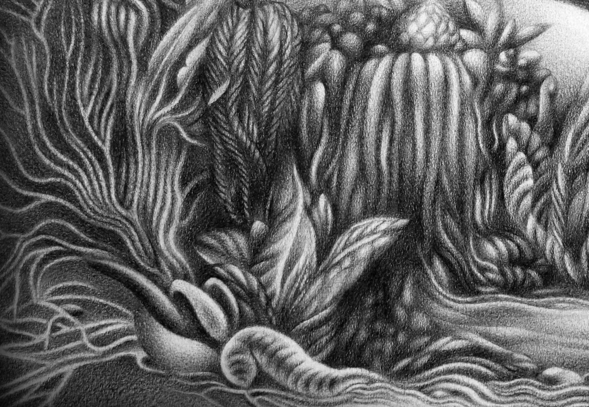 Thrombus Swamp, Detail - Mechanical Pencil - 2021