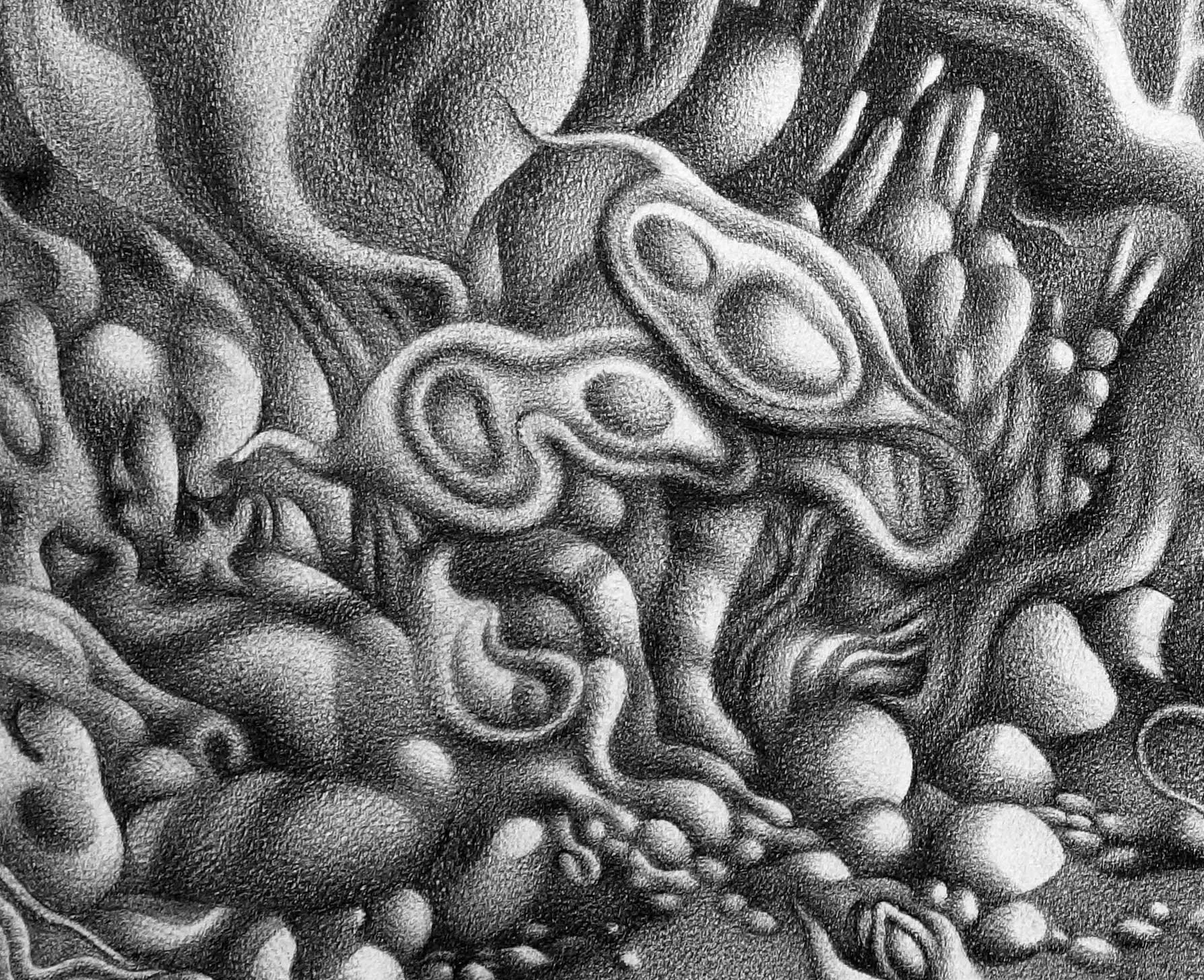 Forager, Detail - Pencil on paper - 2022