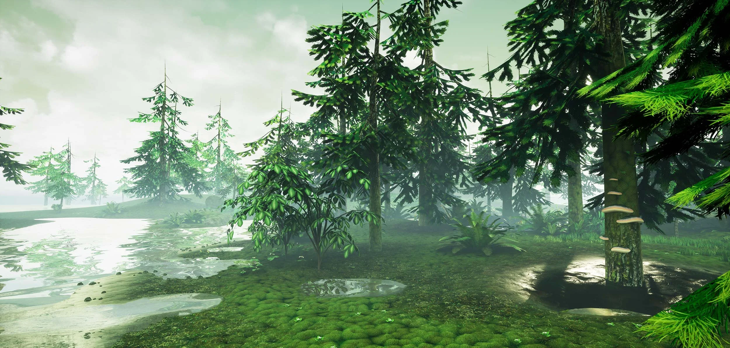 3dforest_web_07.jpg