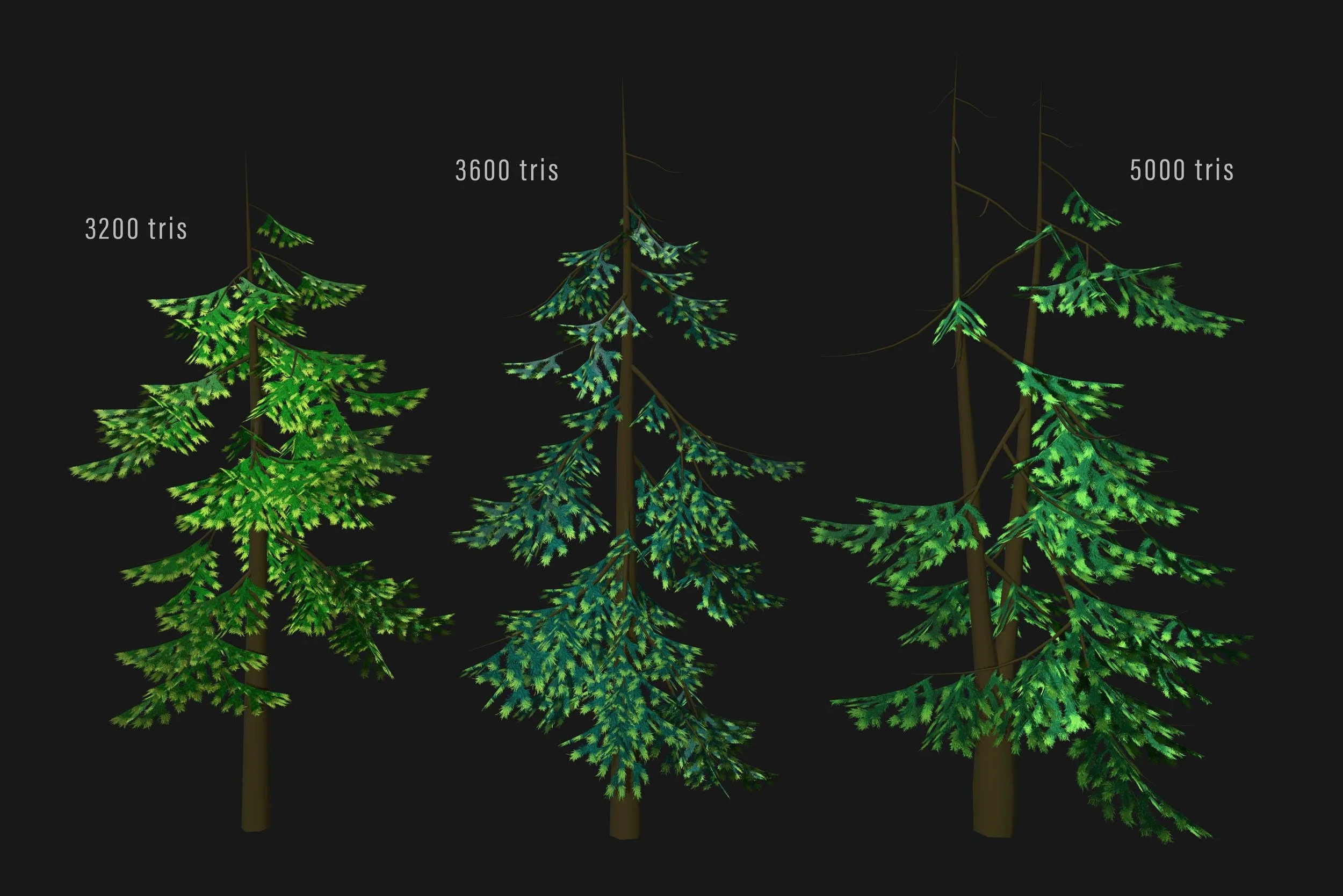 Pacific Northwest in Spring - Polycount - 2021