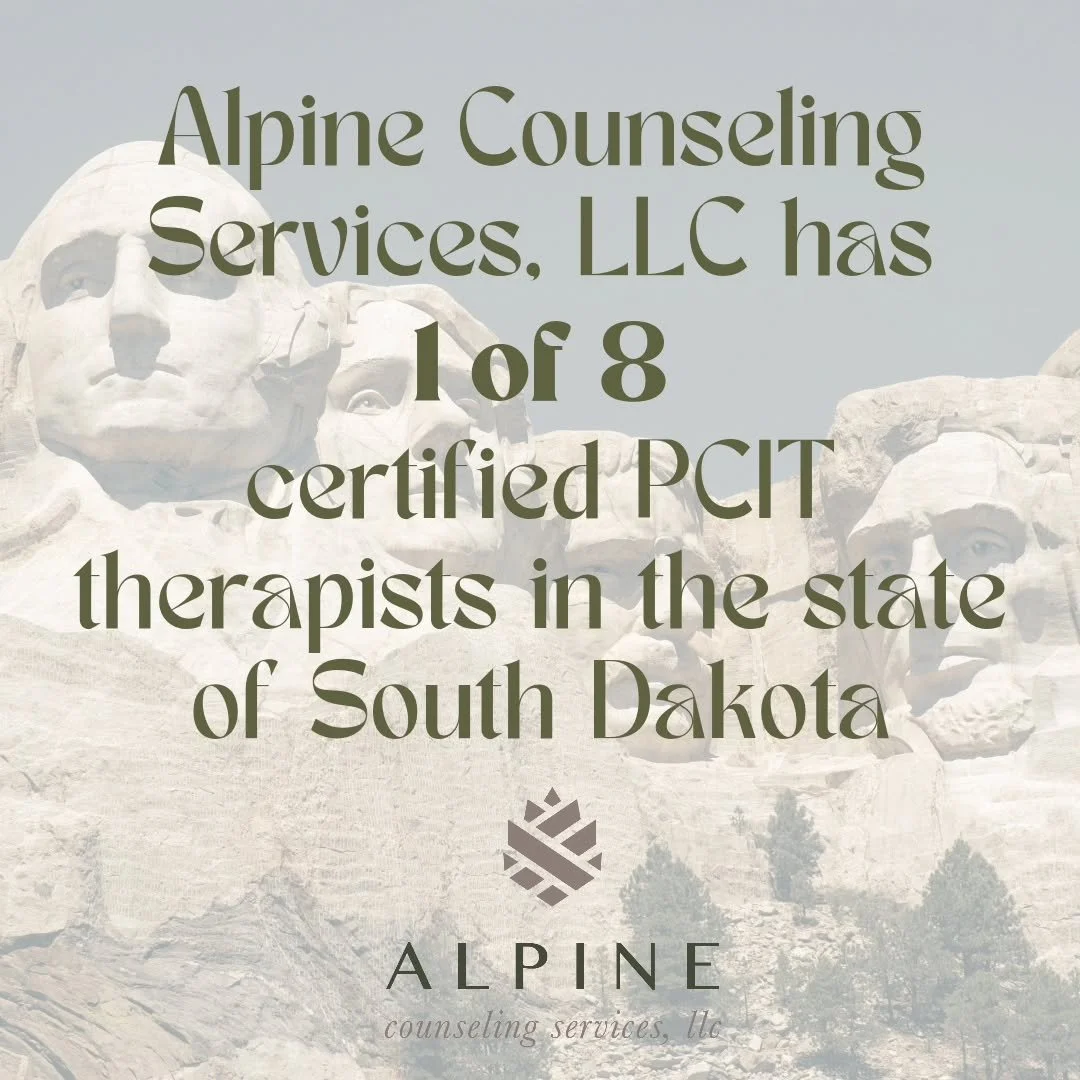 Parent Child Interaction Therapy is an evidence based approach to help parents navigate their child's behaviors while focusing on bettering the paren/child relationship π§π§