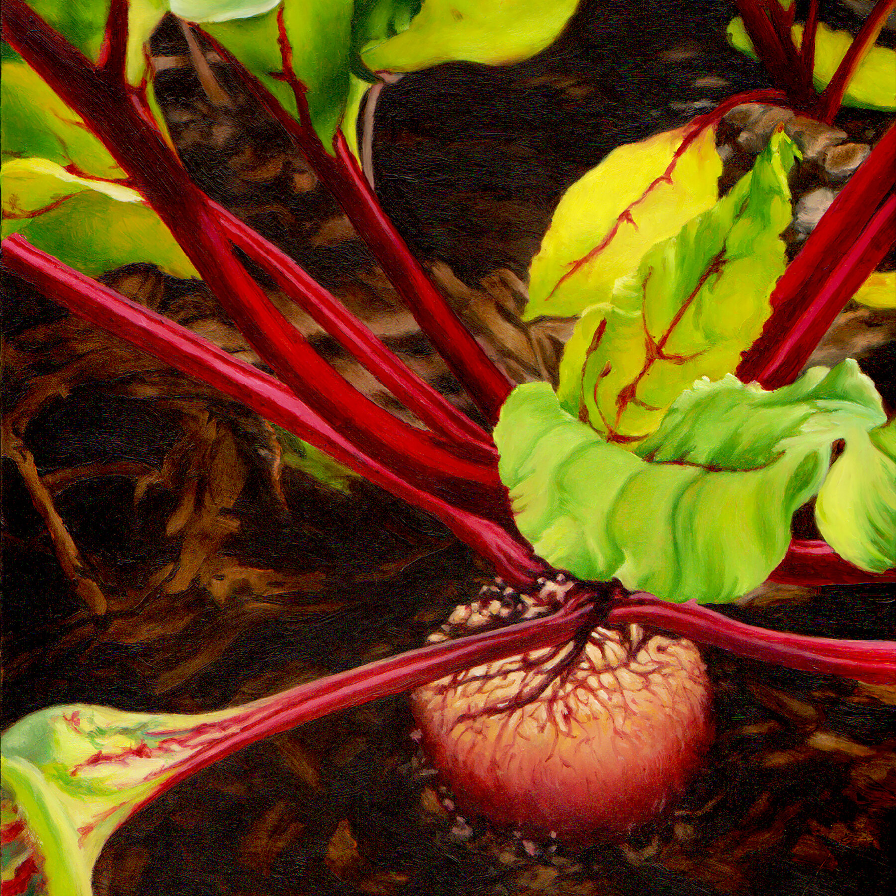Beet Beauty cropped     Lynn Mocarski Maurer.jpg