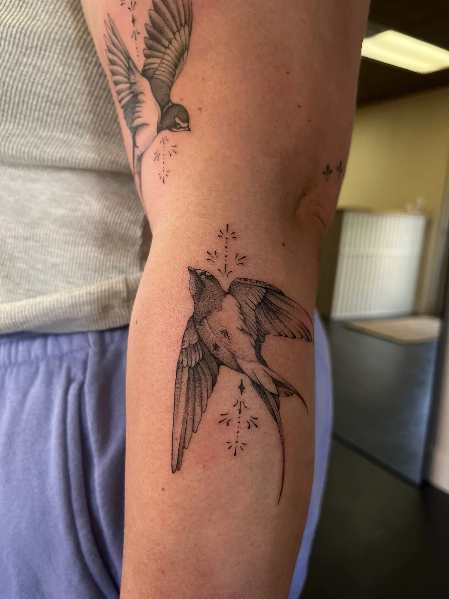 closeup detail photo of a pair of highly detailed fine line swallow tattoos with dainty ornamental details on a females forearm