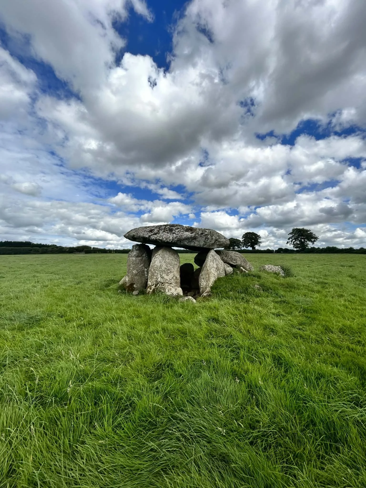 534e8363-1944-4500-92a1-9a5295c9023a (1).jpeg